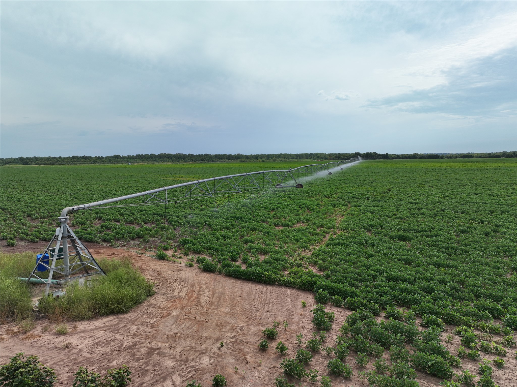 TBD County Road 3302