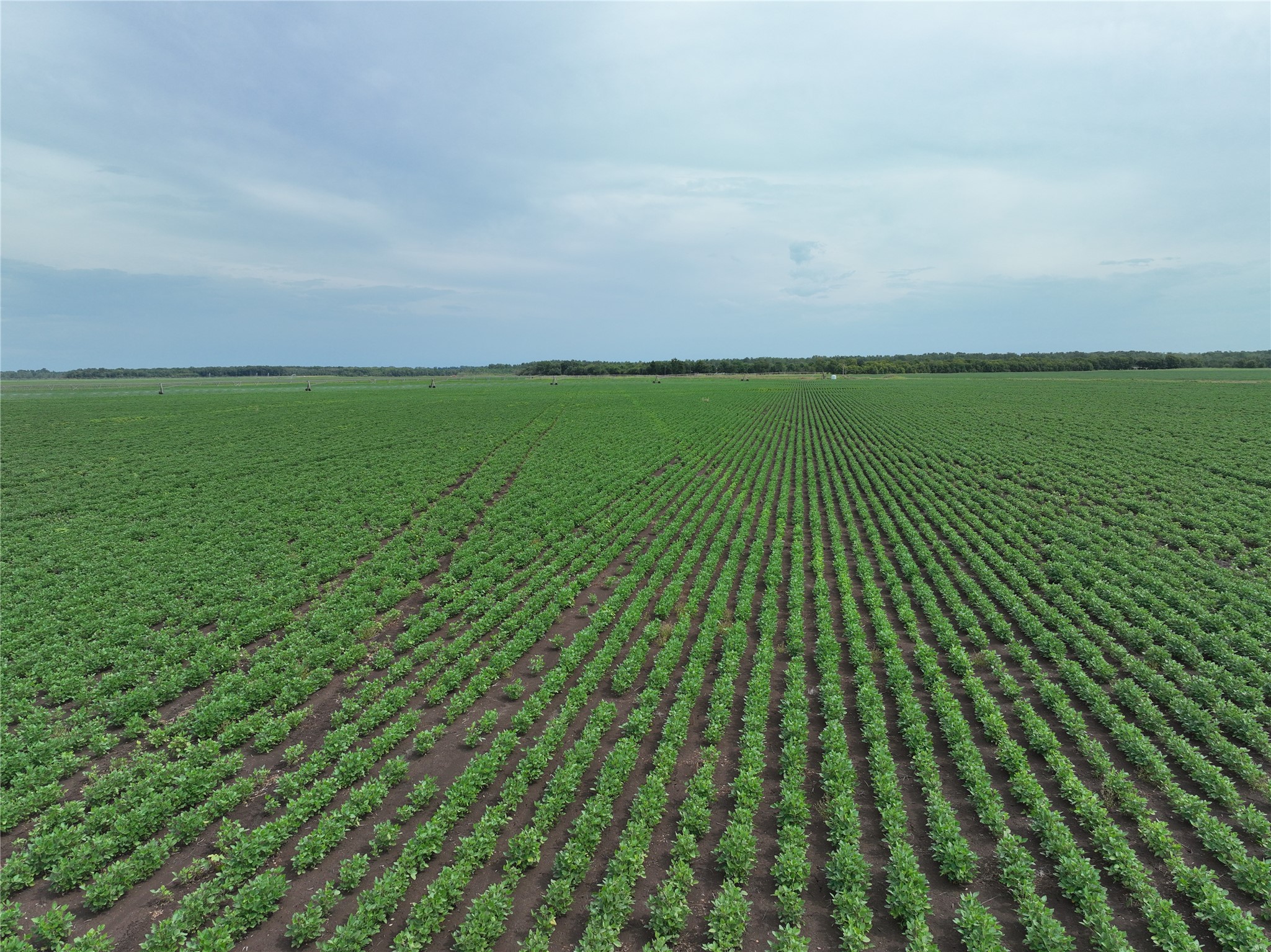 TBD County Road 3302