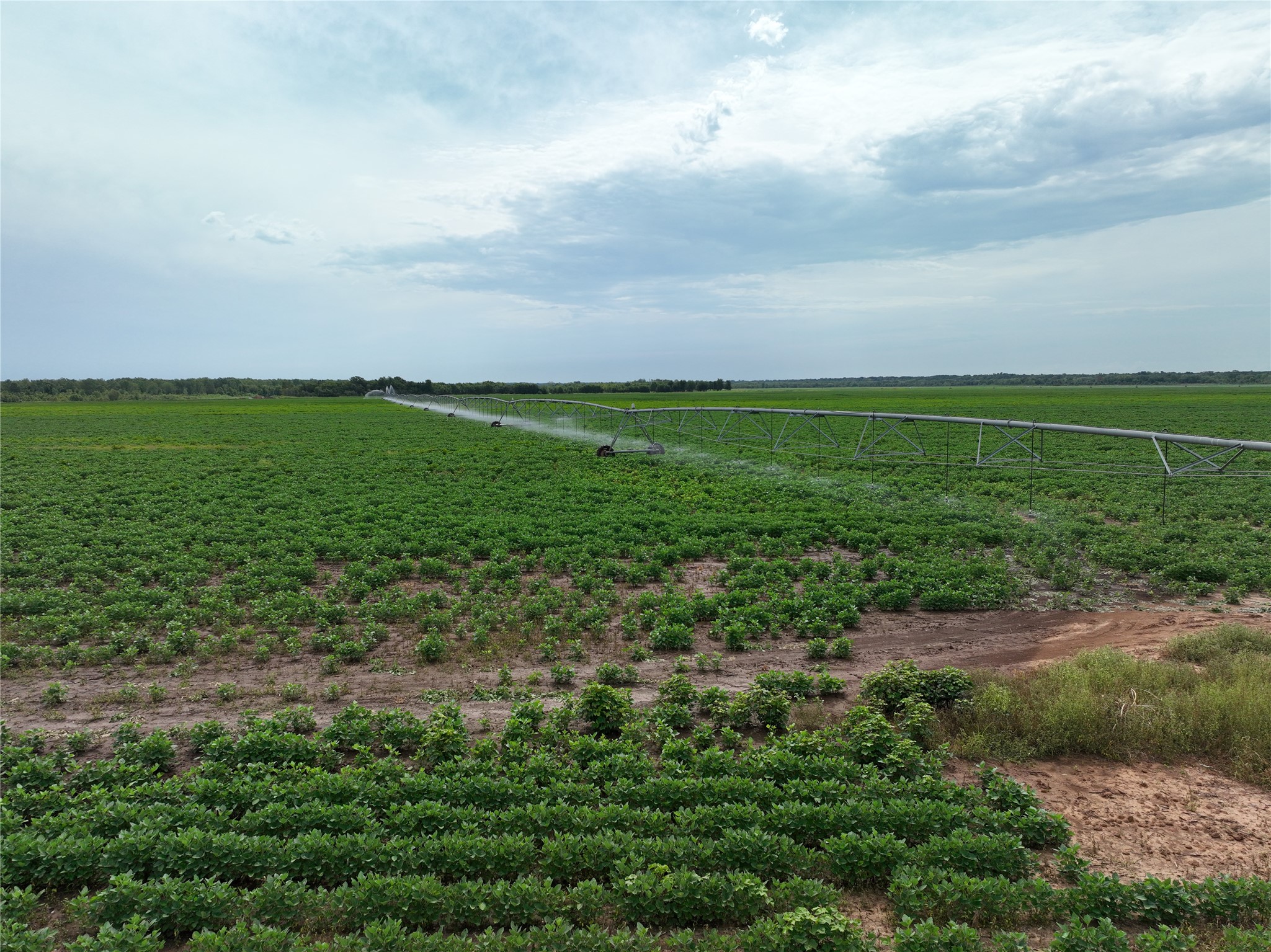 TBD County Road 3302