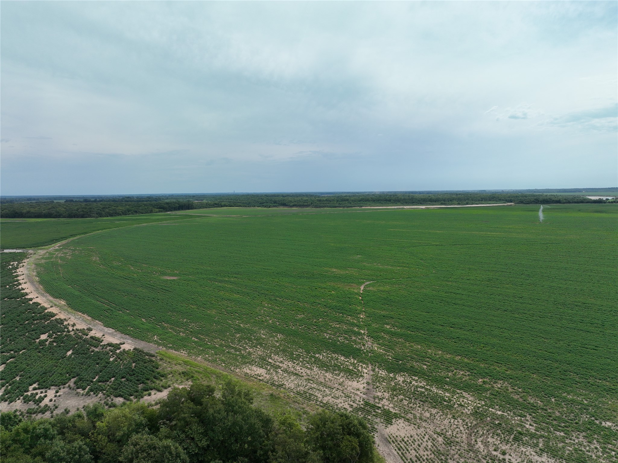 TBD County Road 3302