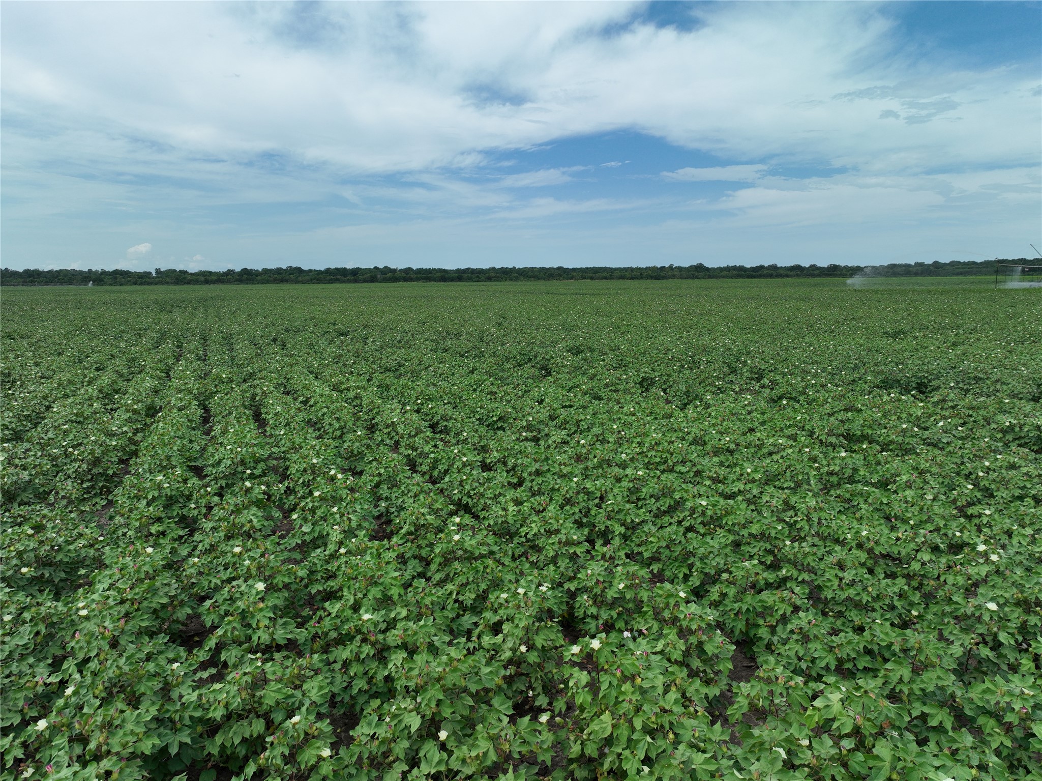 TBD County Road 3302
