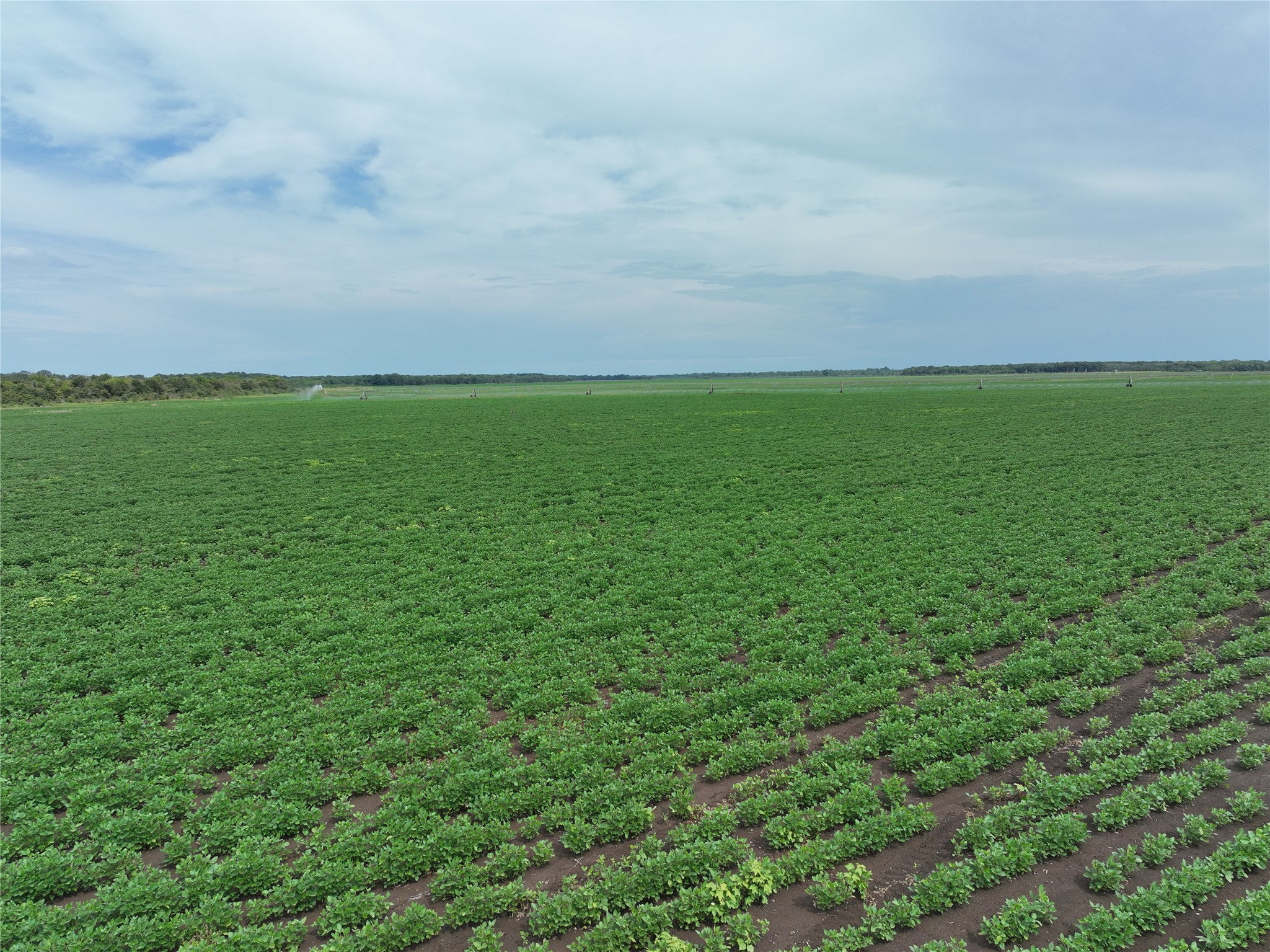 TBD County Road 3302
