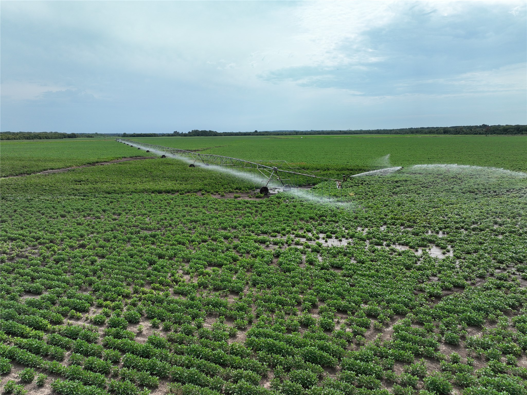 TBD County Road 3302