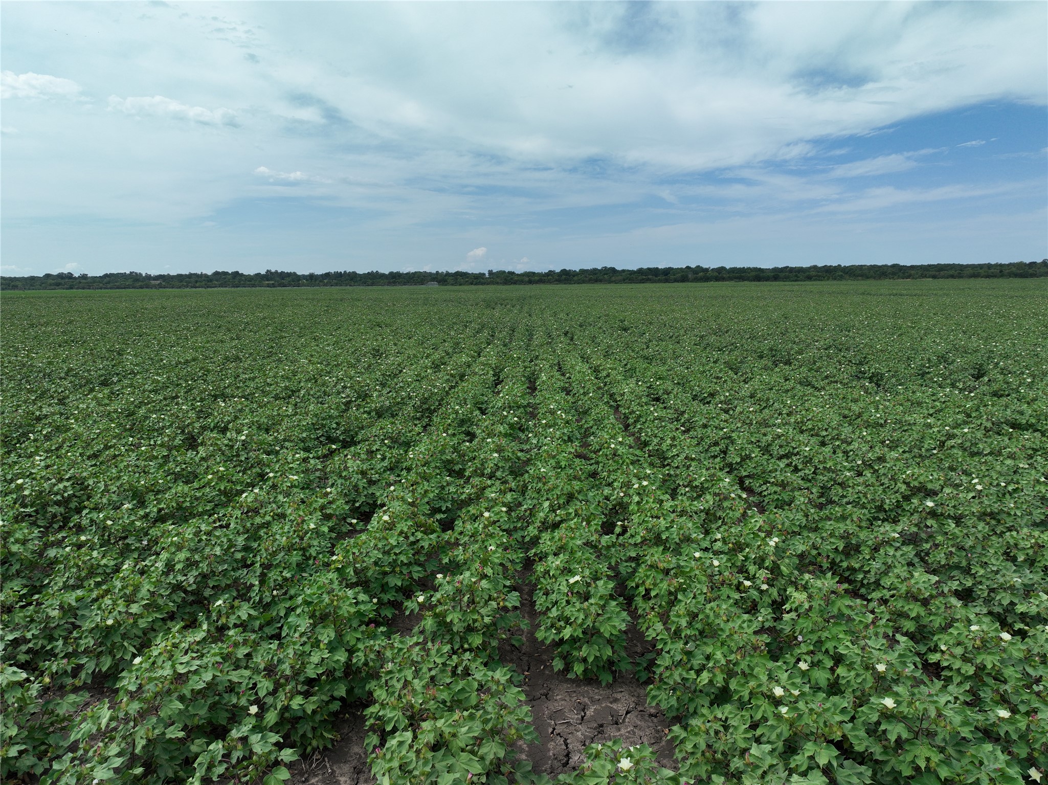 TBD County Road 3302