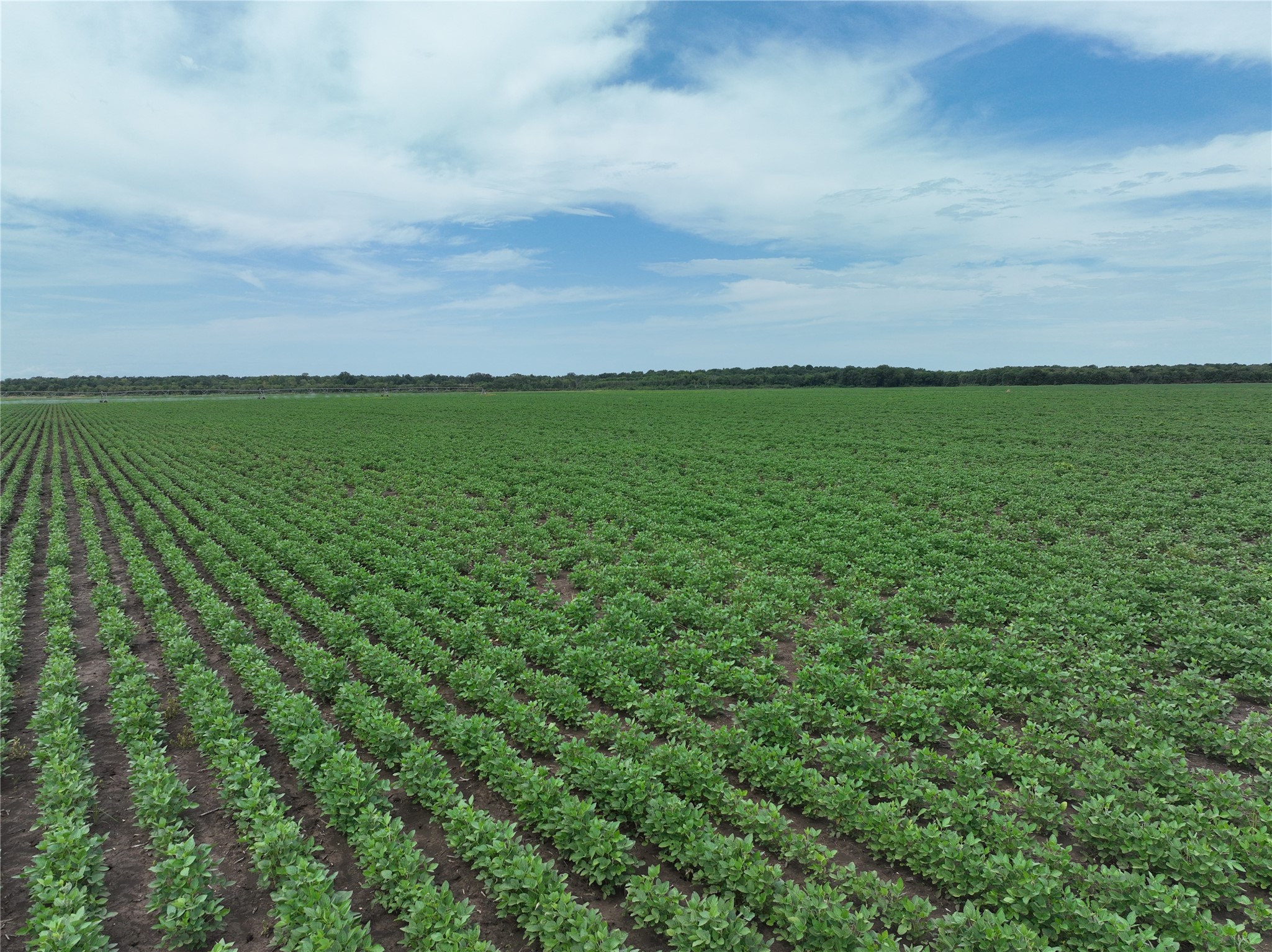 TBD County Road 3302