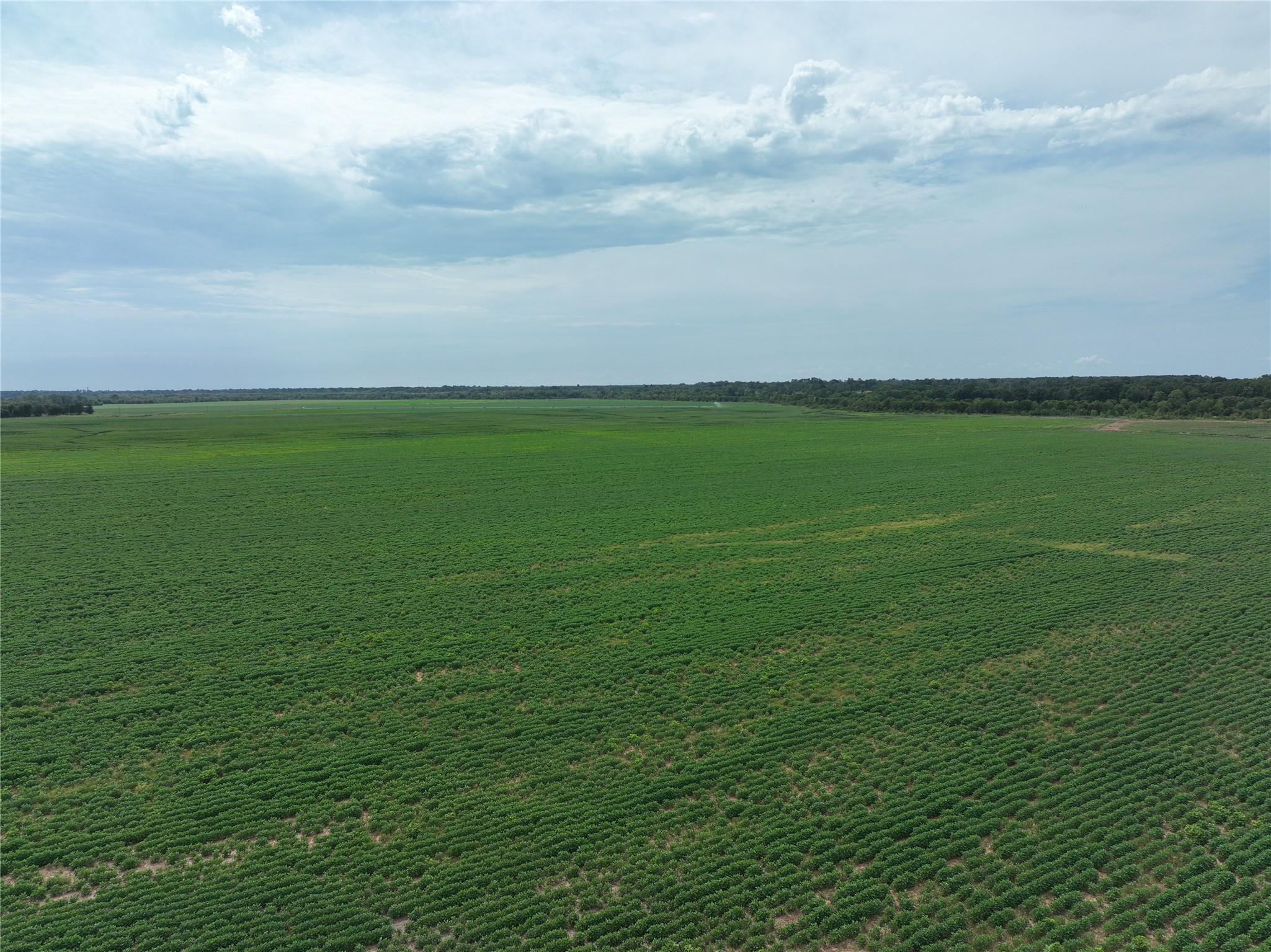 TBD County Road 3302