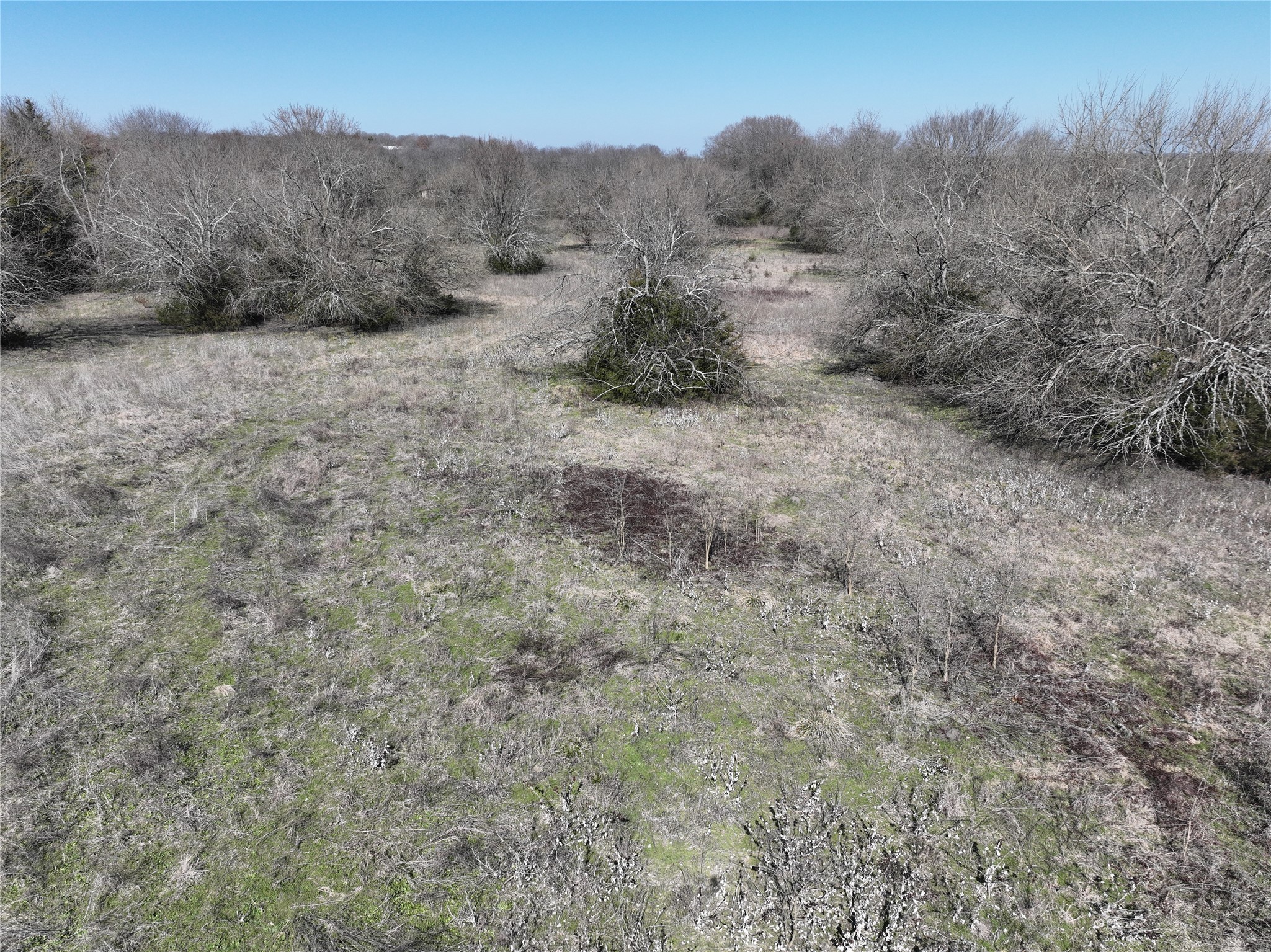 0001 County Road 4605