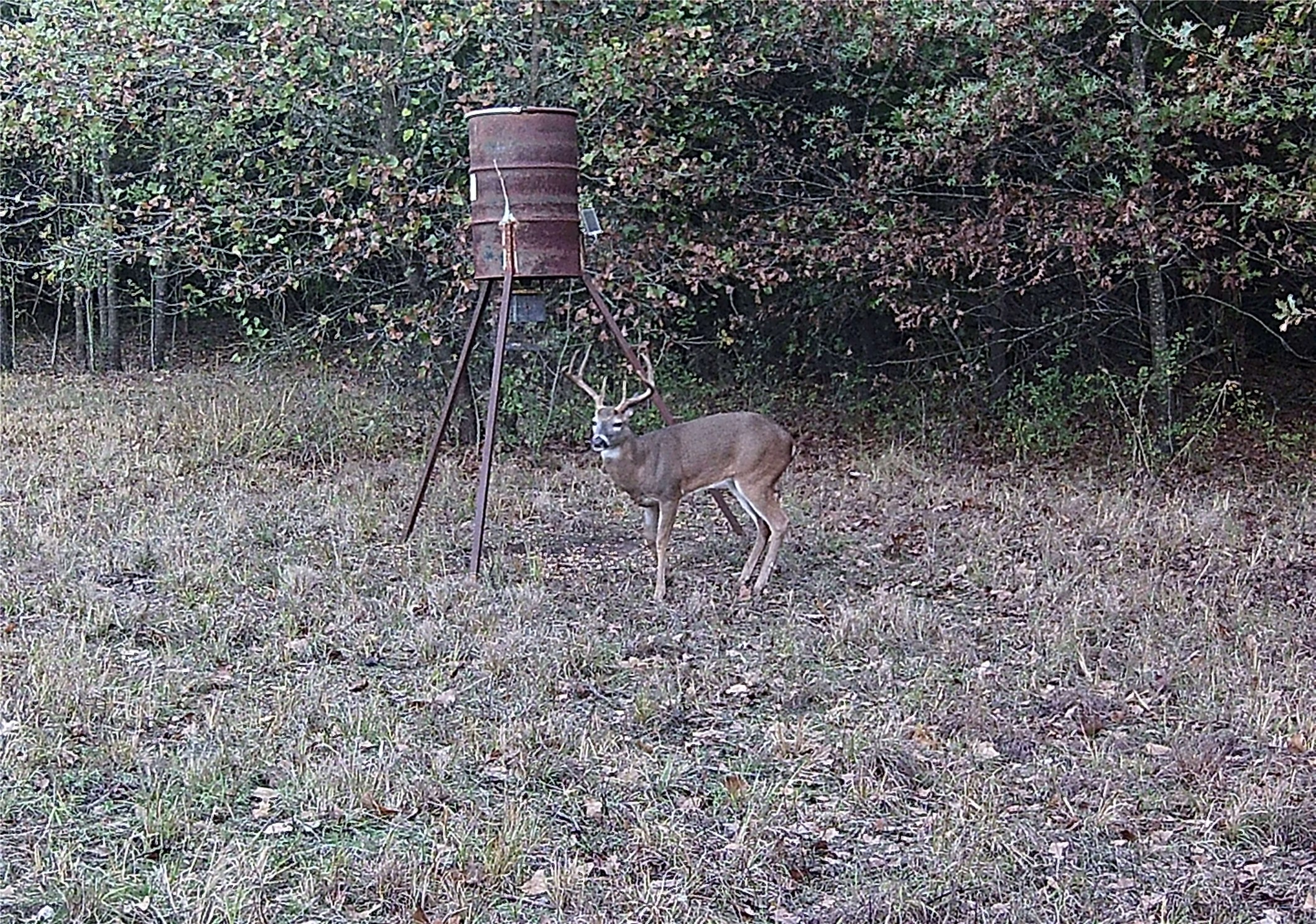 198 Friendship Circle