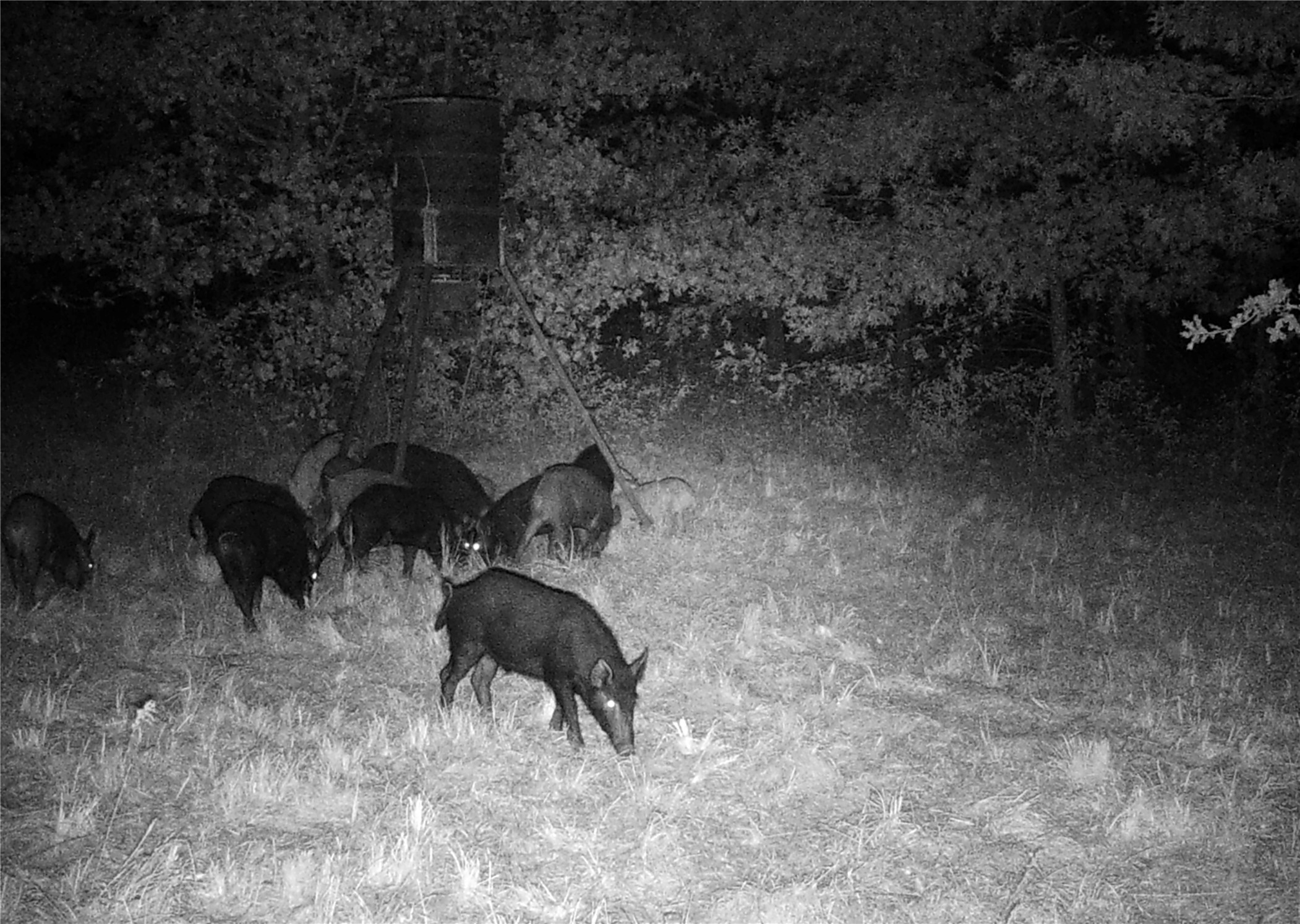 198 Friendship Circle