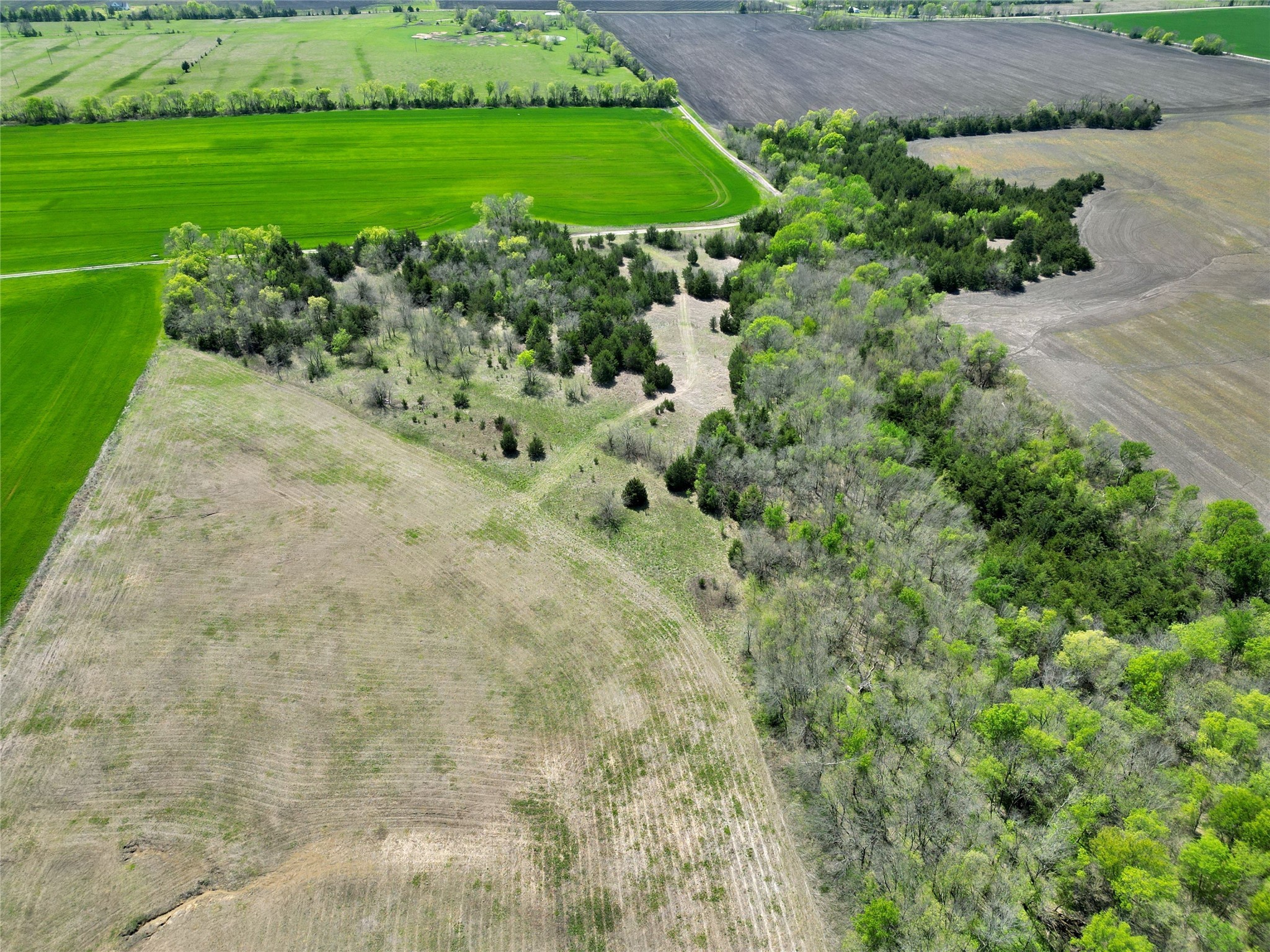 TBD County Road 3555