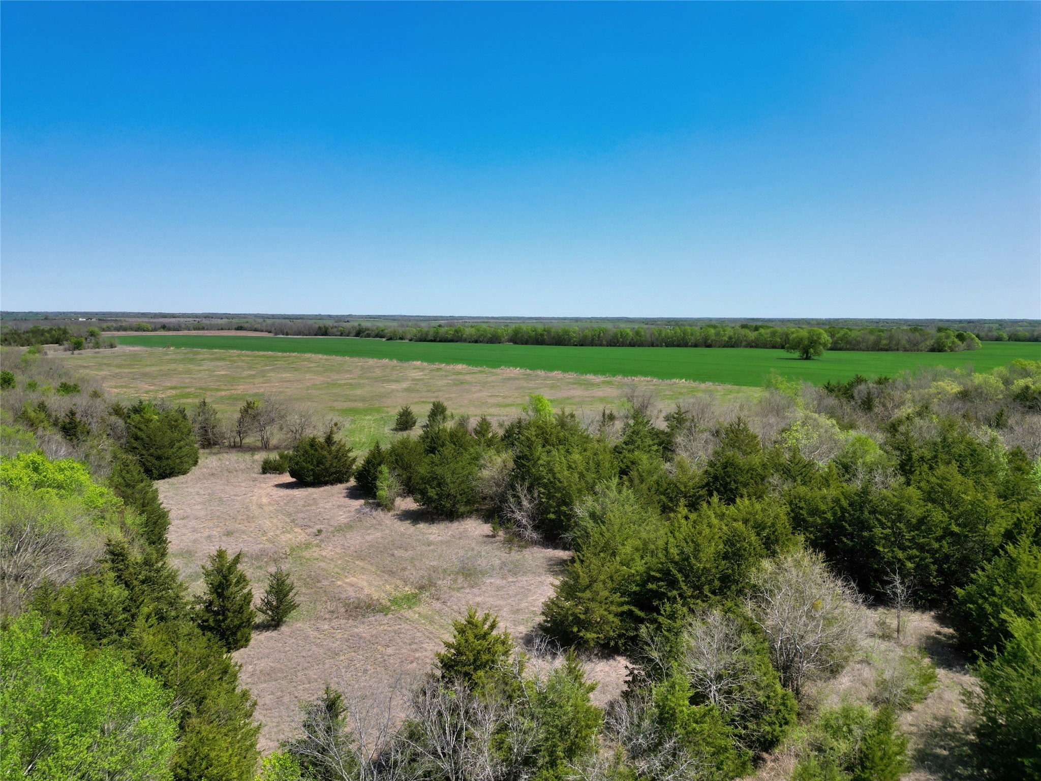 TBD County Road 3555