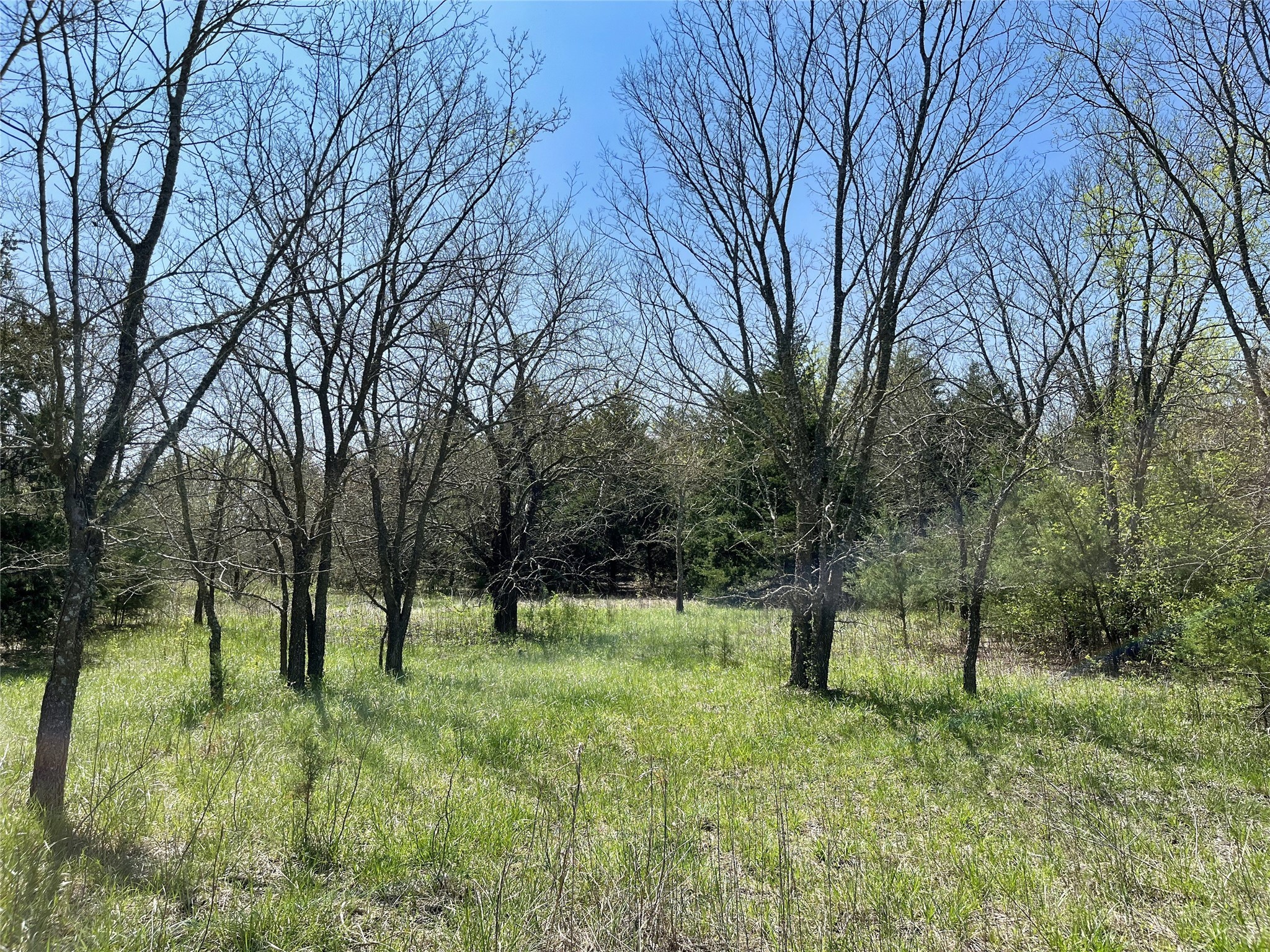 TBD County Road 3555