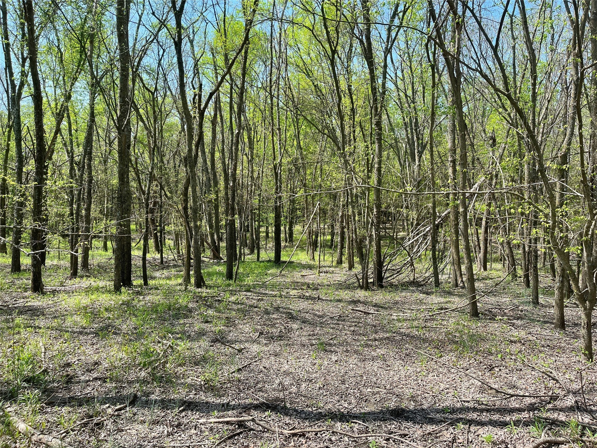 TBD County Road 3555