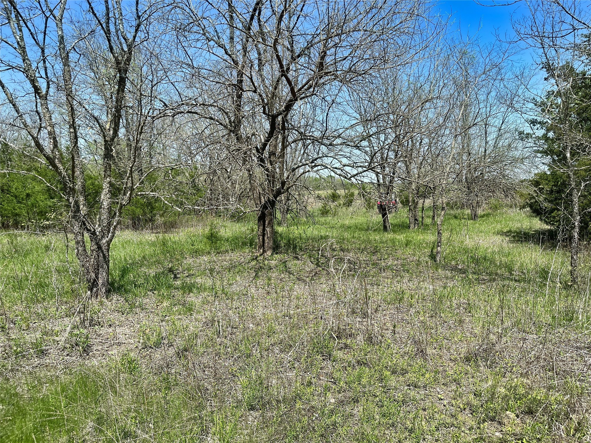 TBD County Road 3555