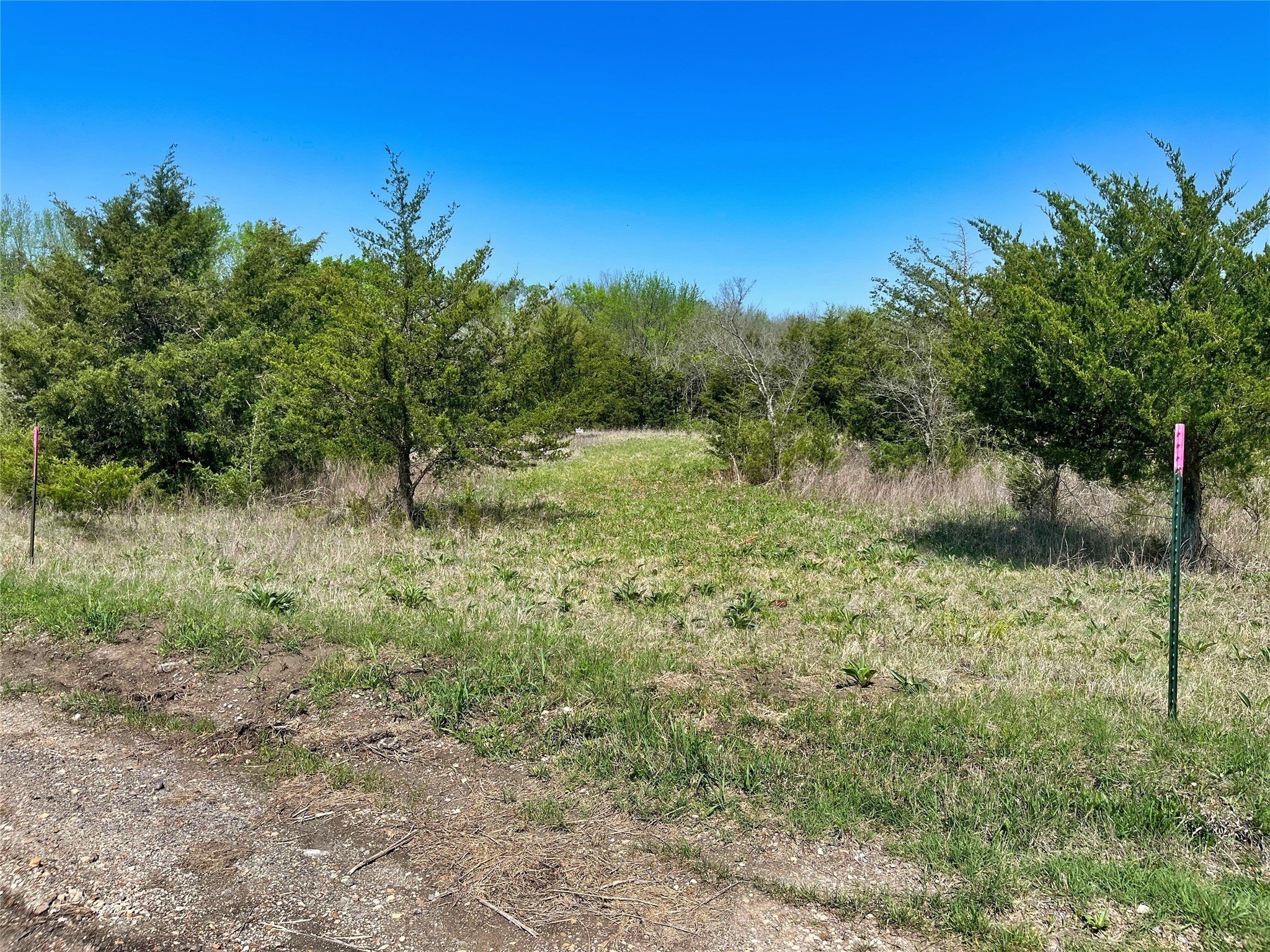 TBD County Road 3555