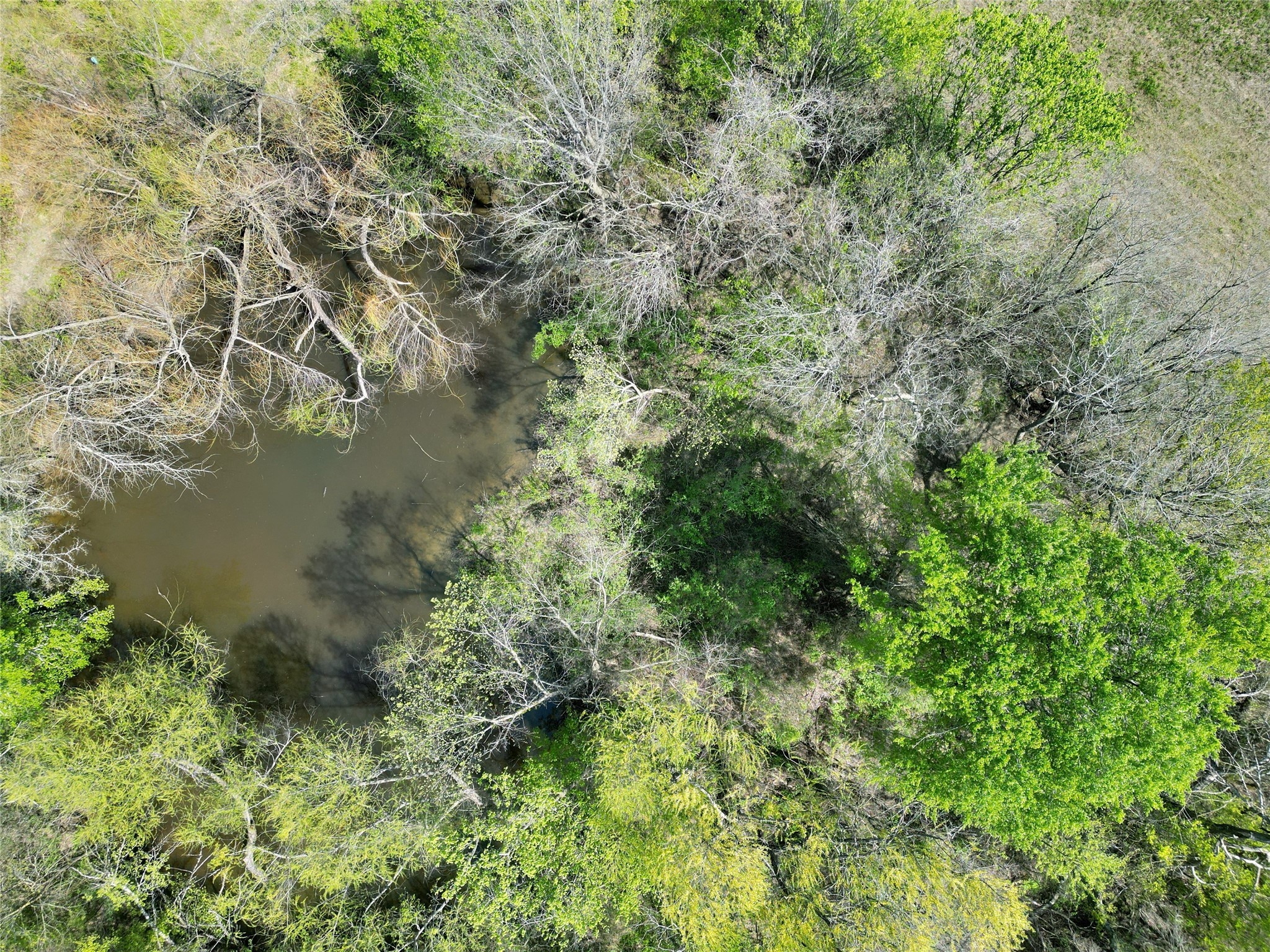 TBD County Road 3555