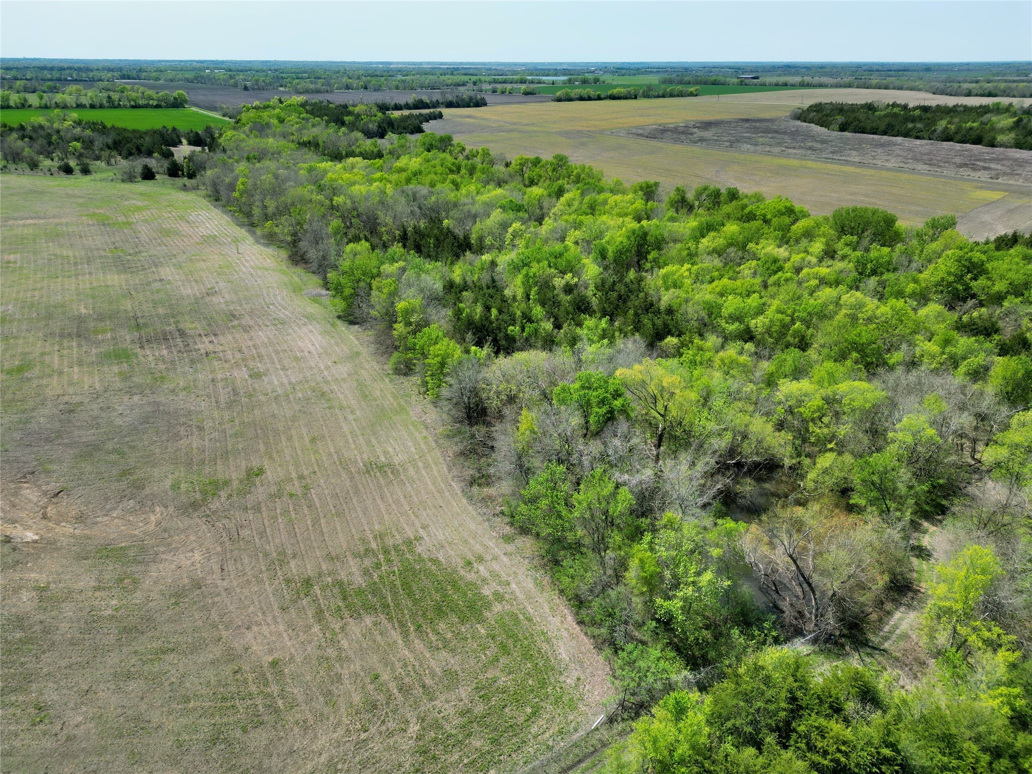 TBD County Road 3555