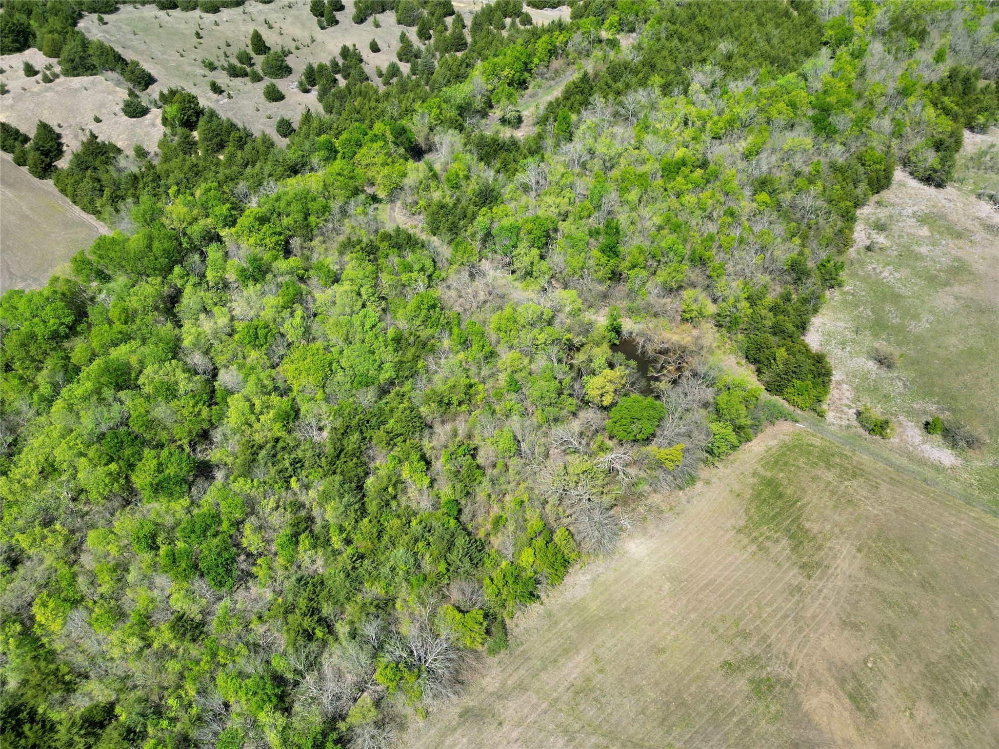 TBD County Road 3555