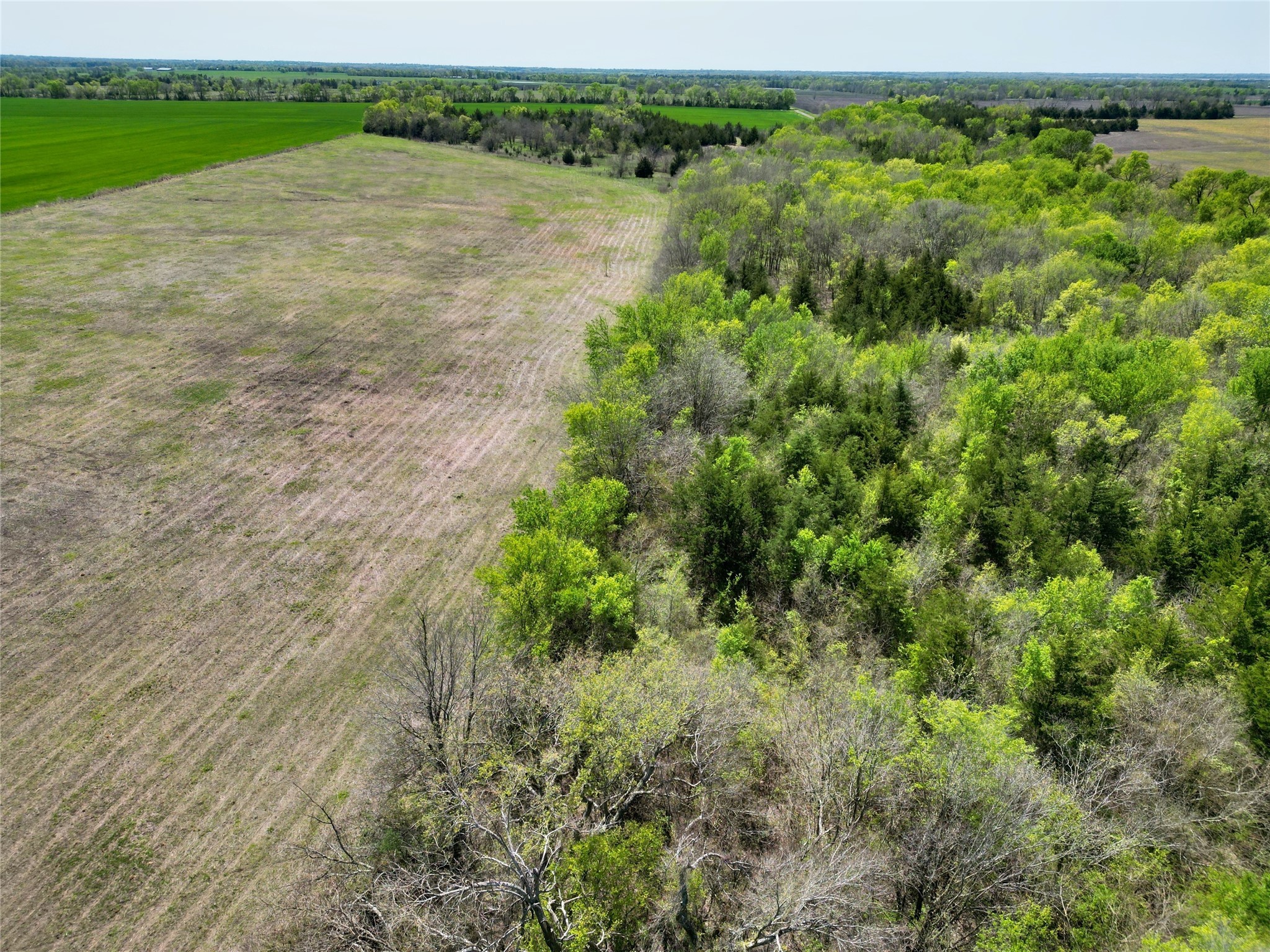 TBD County Road 3555