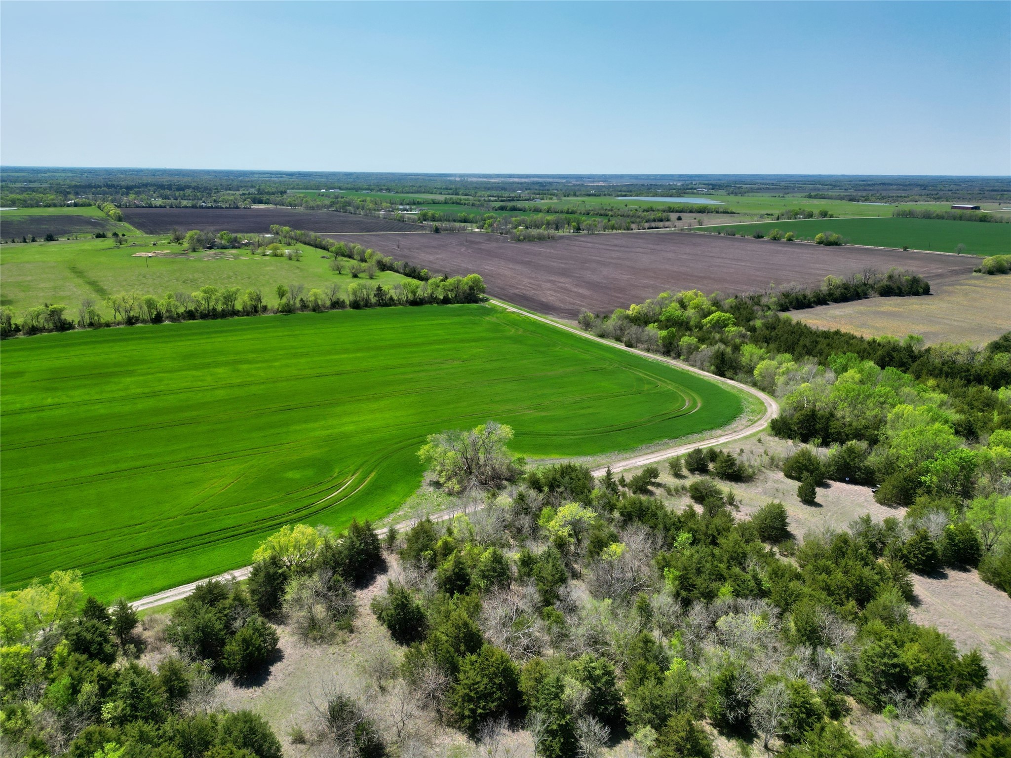 TBD County Road 3555