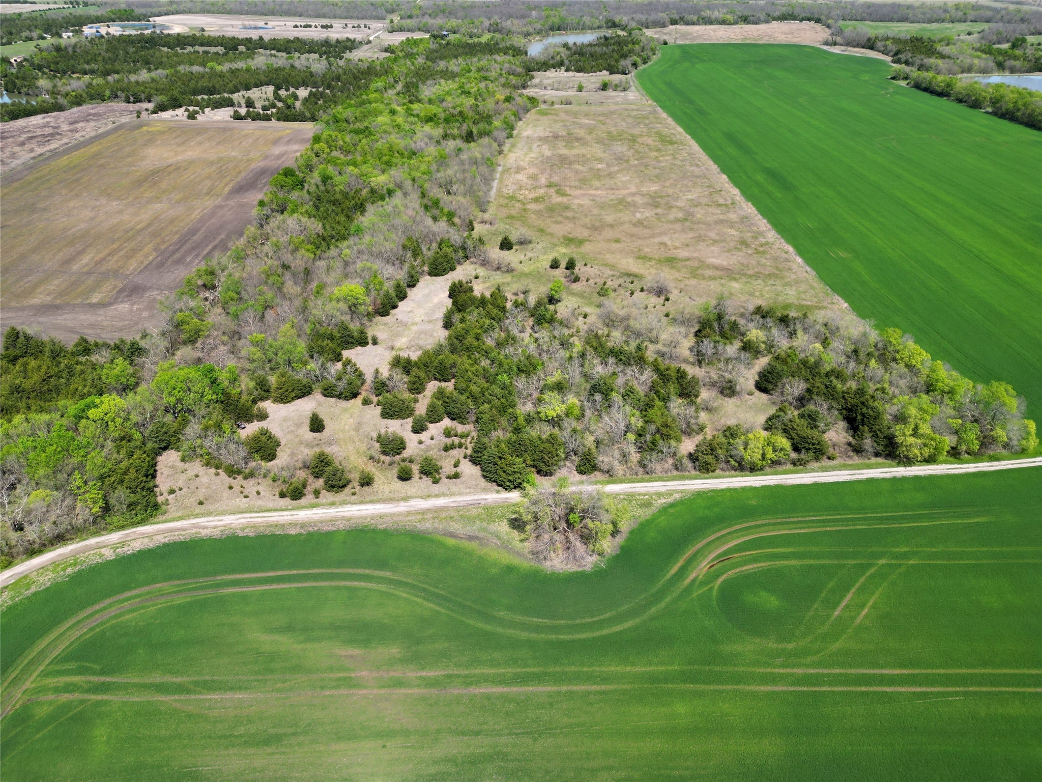TBD County Road 3555