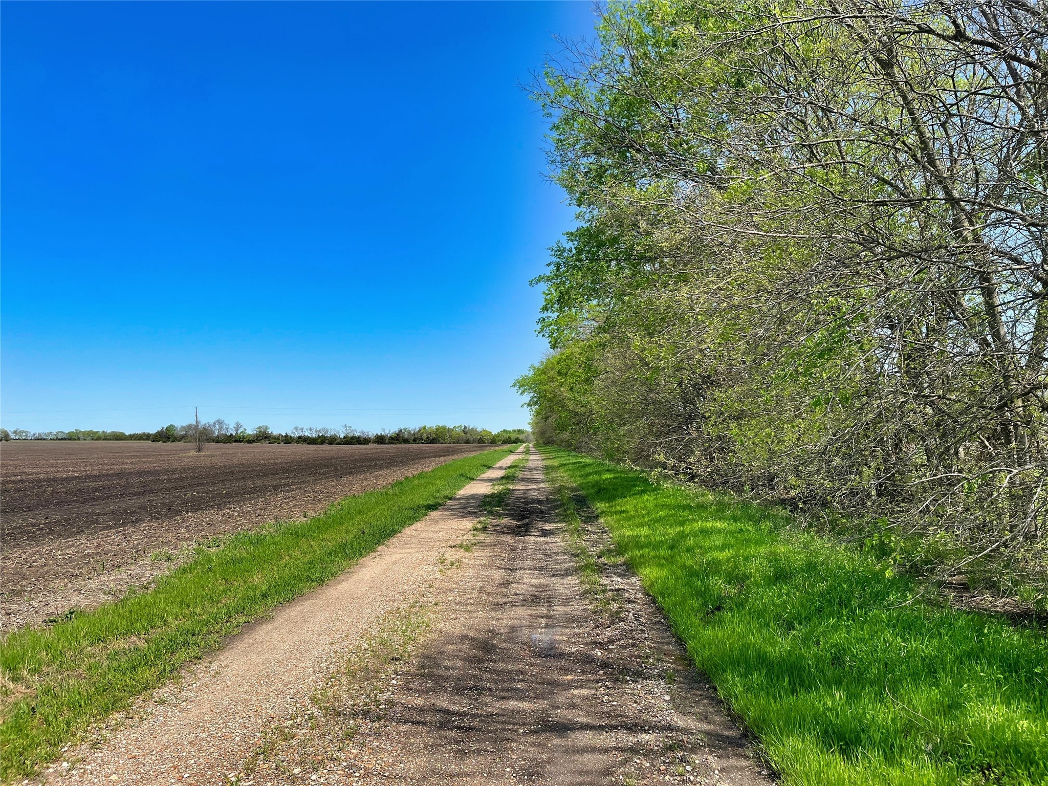 TBD County Road 3555