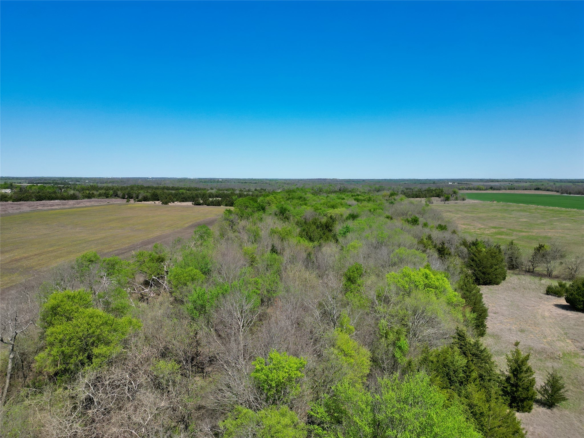 TBD County Road 3555