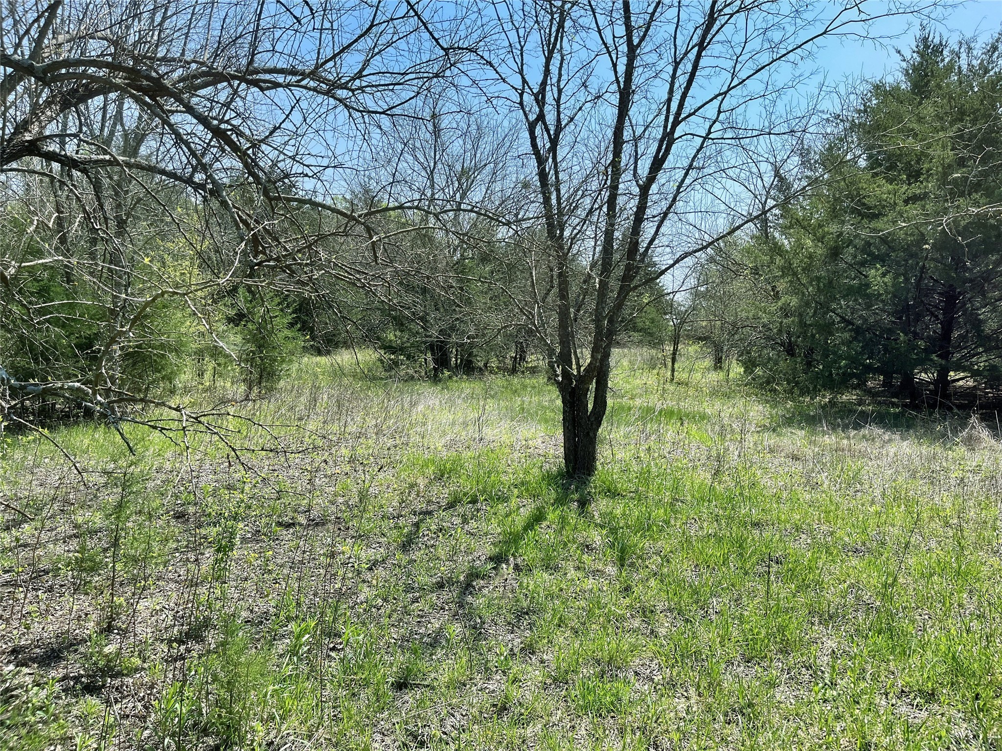 TBD County Road 3555