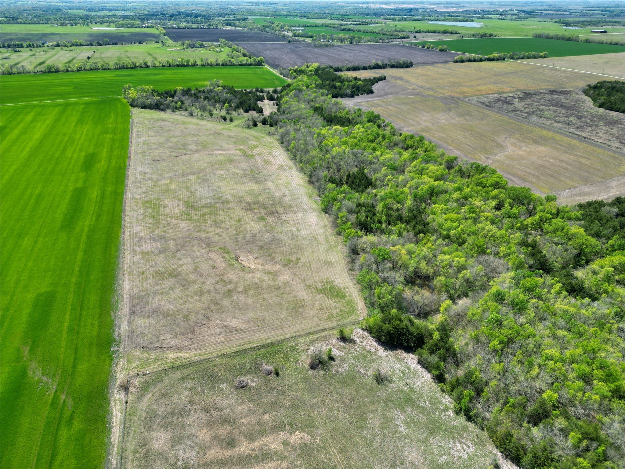 TBD County Road 3555