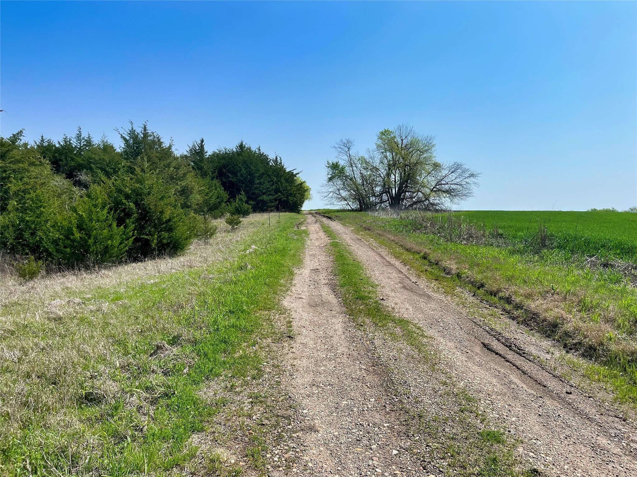 TBD County Road 3555