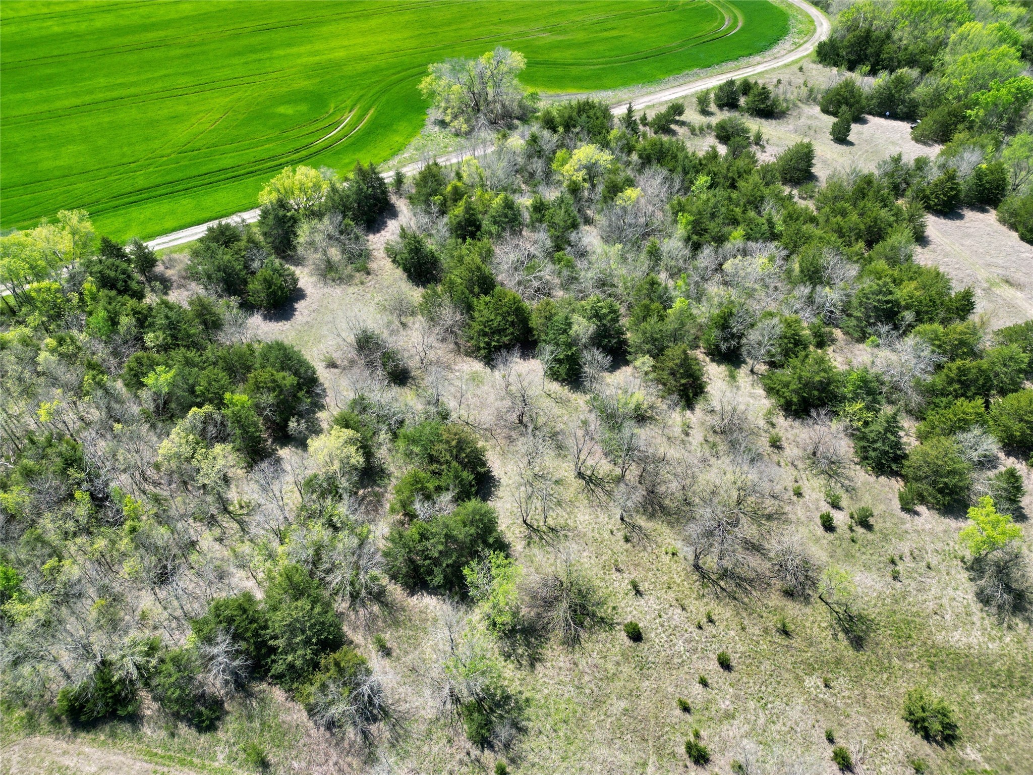 TBD County Road 3555