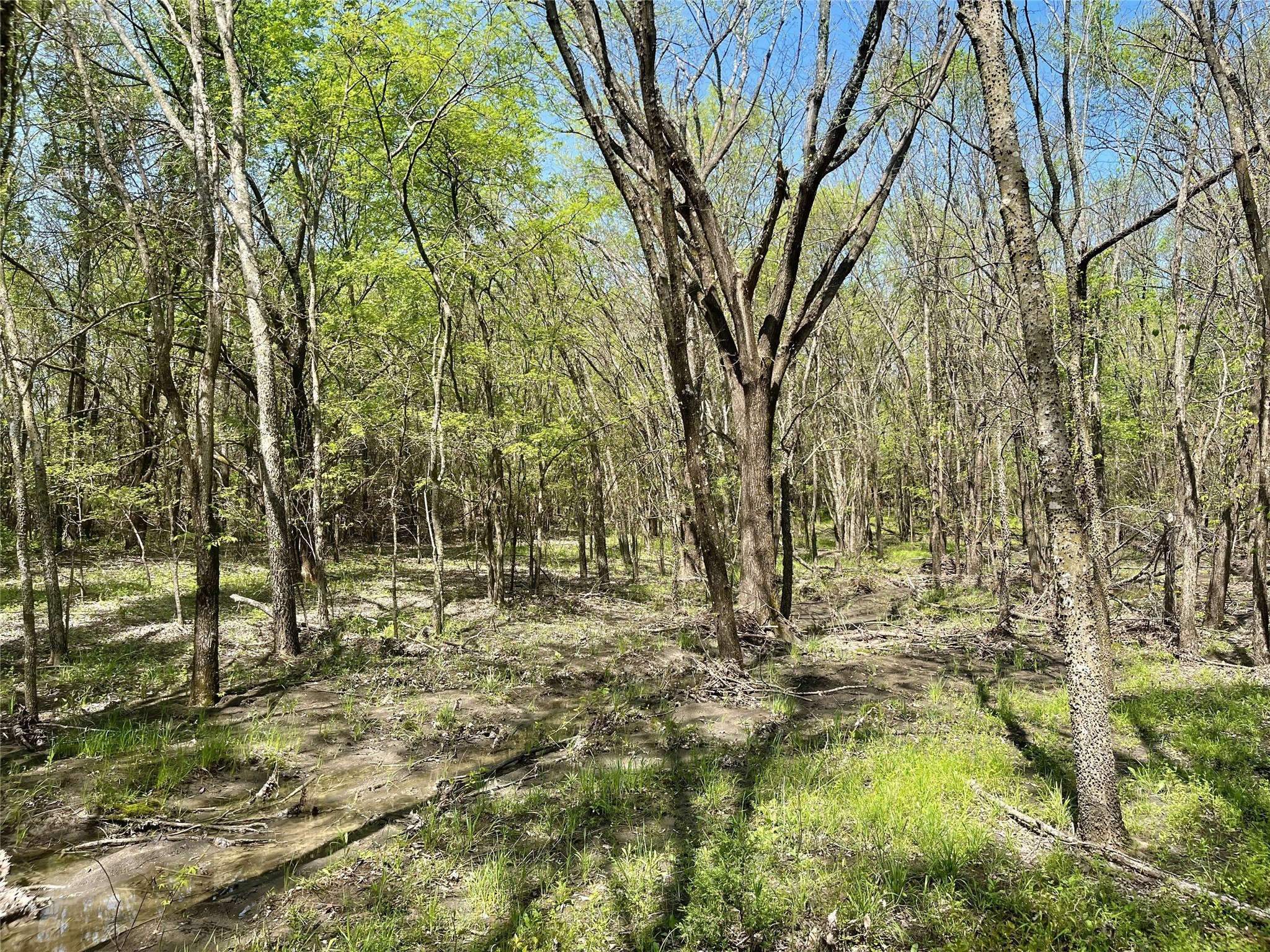 TBD County Road 3555