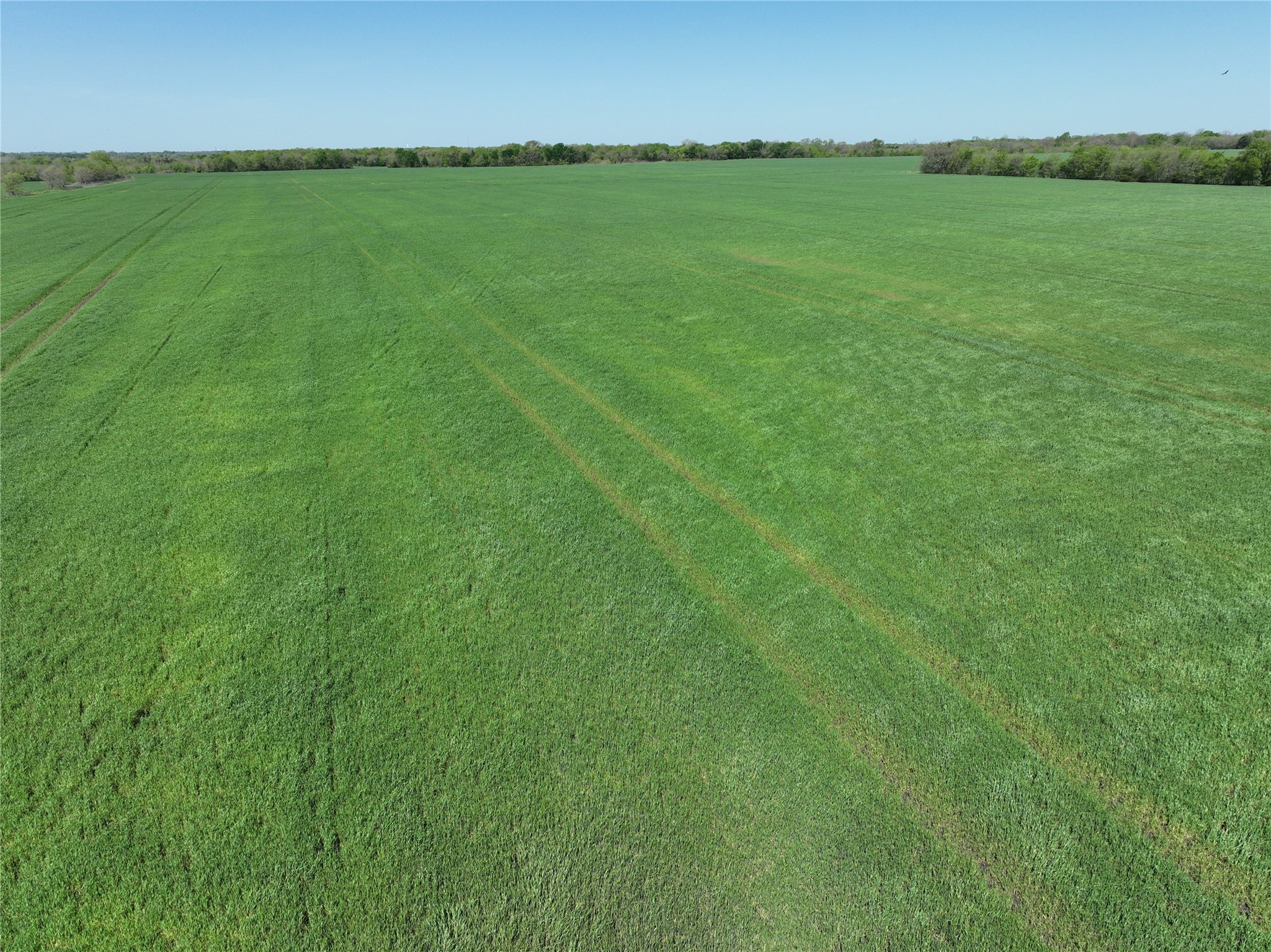 0001 County Road 26850