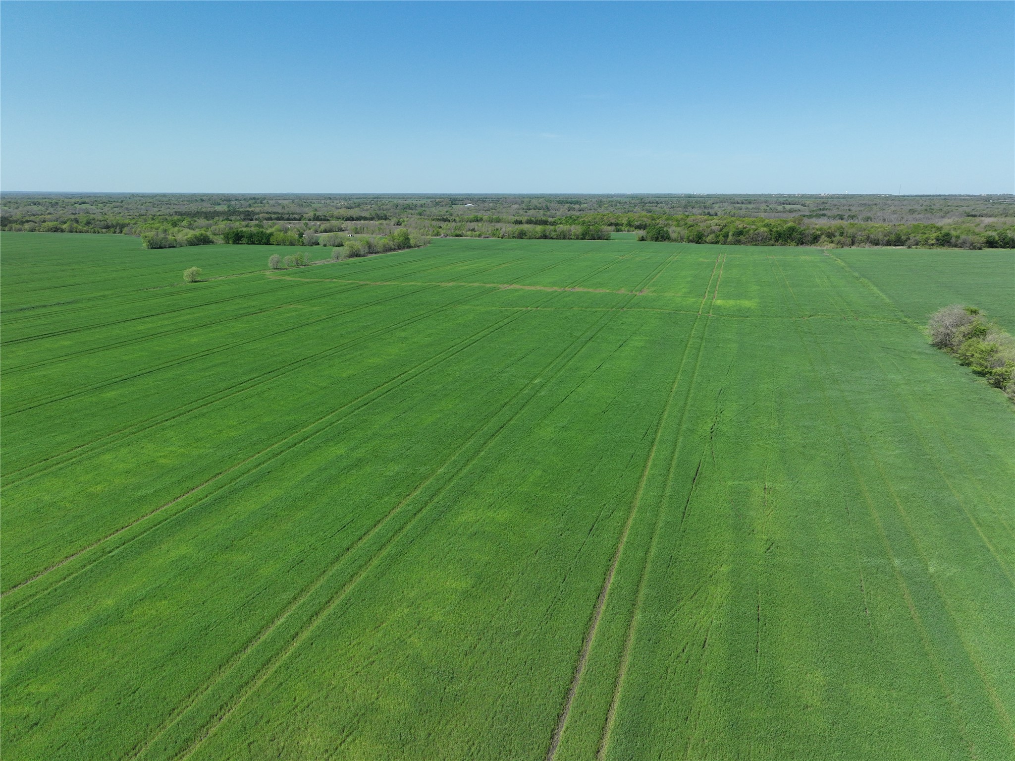 0001 County Road 26850