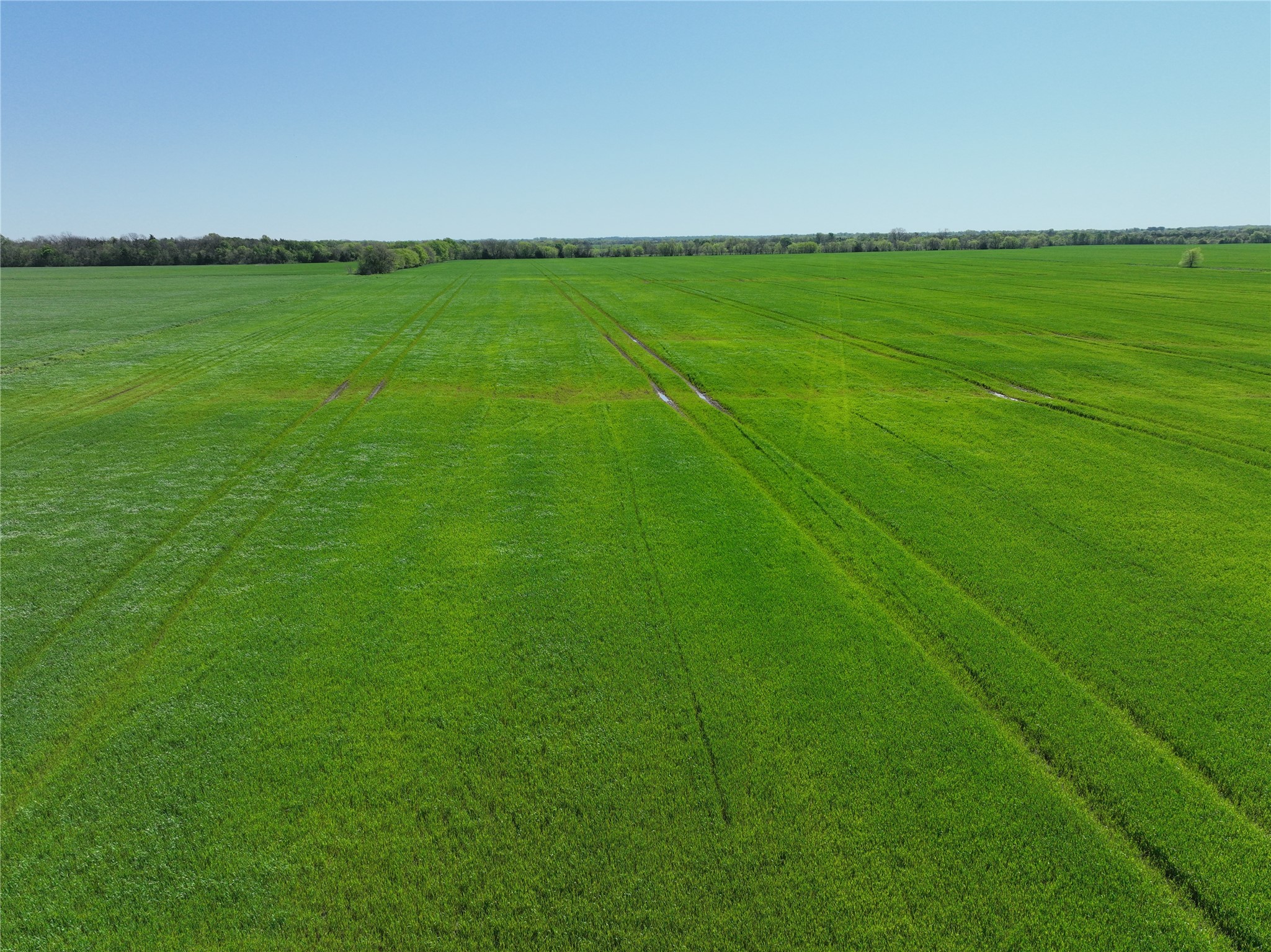 0001 County Road 26850