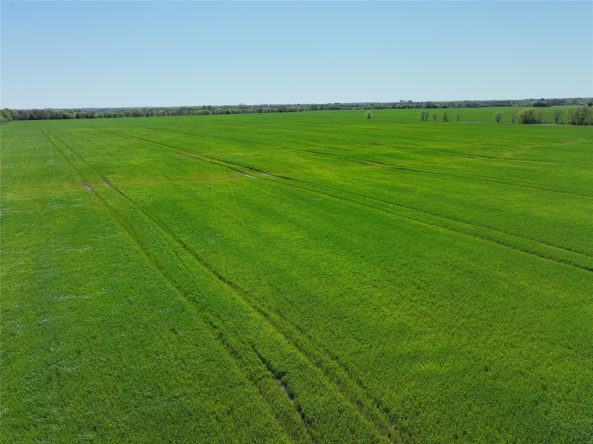 0001 County Road 26850