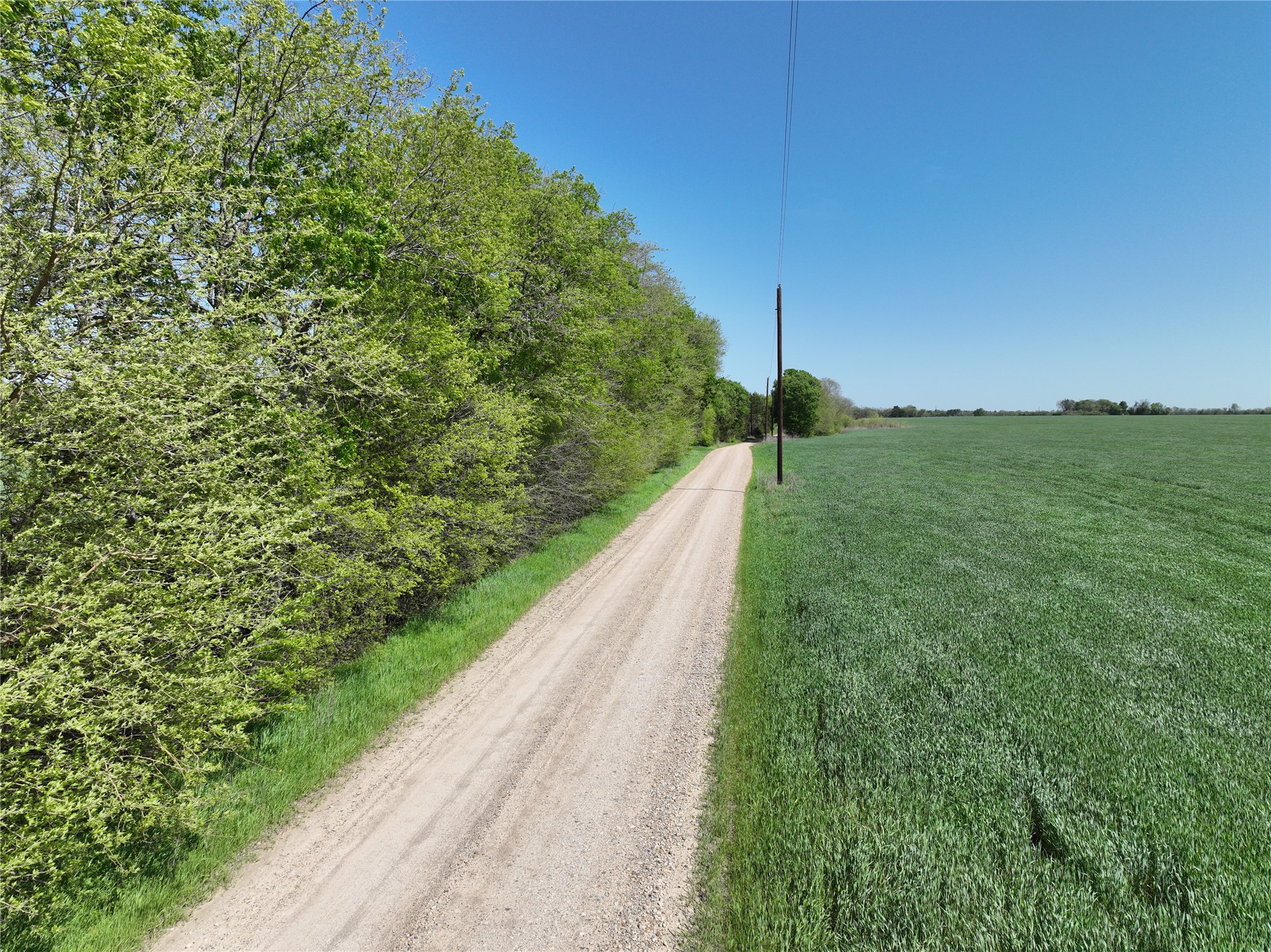 0001 County Road 26850