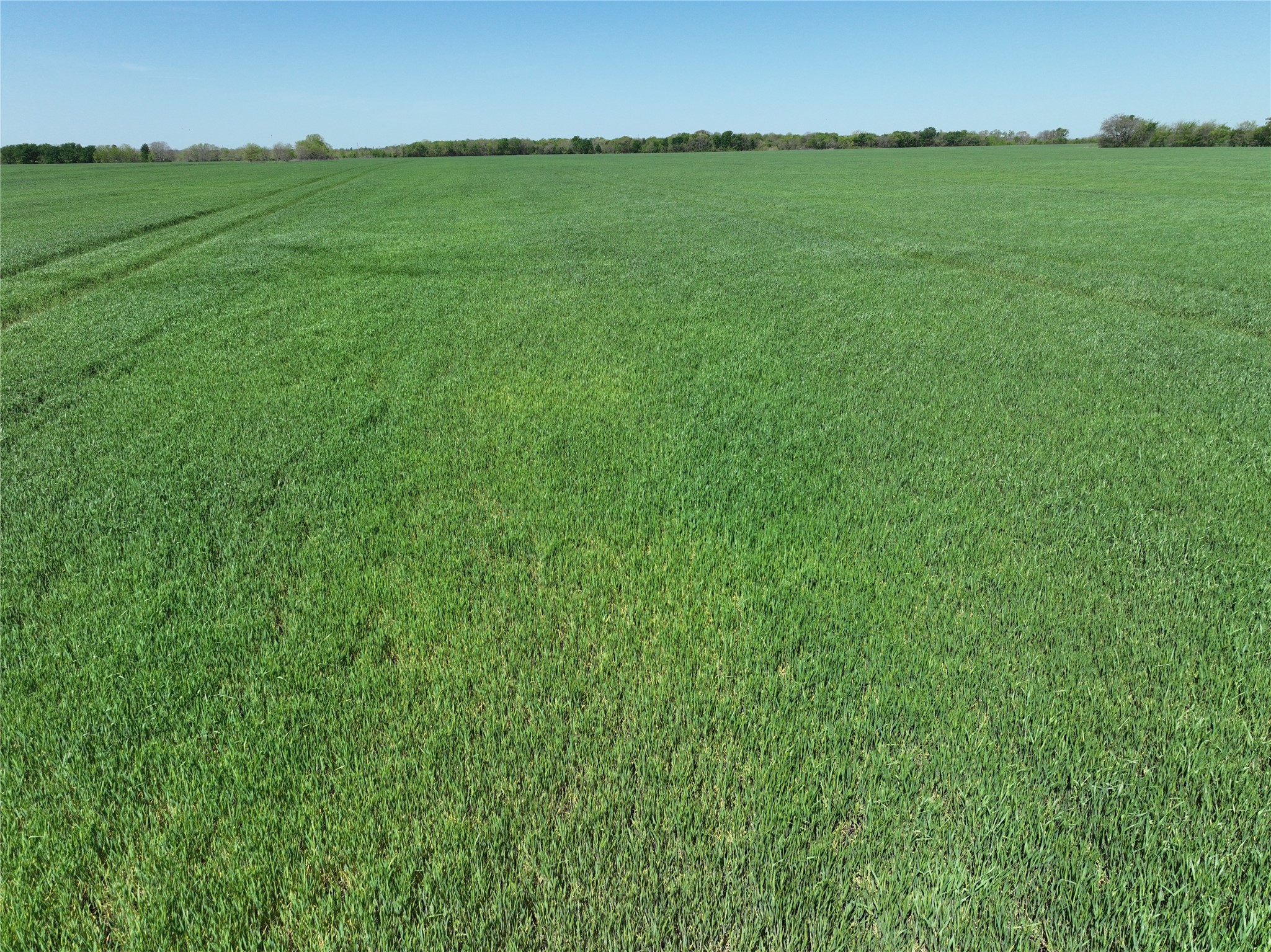 0001 County Road 26850