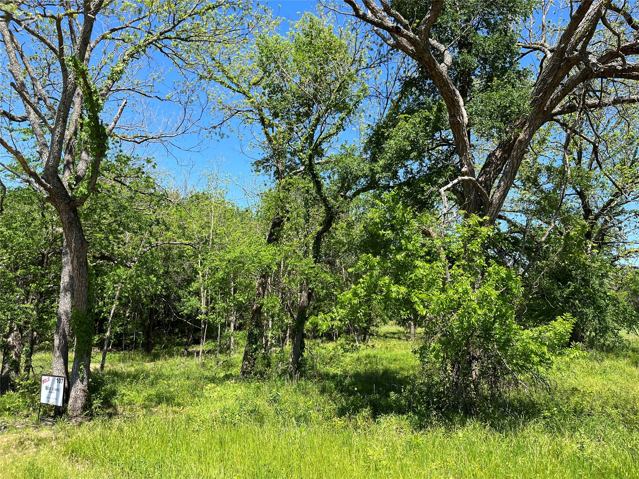 Wooded lot with mature trees, a grassy clearing, and a small SOLD sign.