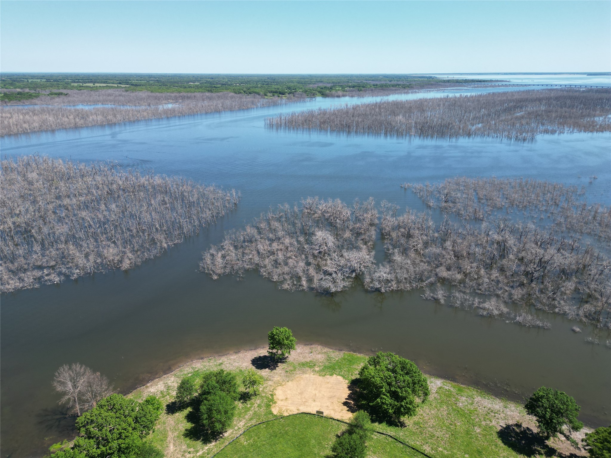 Aerial view of a grassy, tree-dotted shoreline beside expansive water and flooded woodland.
