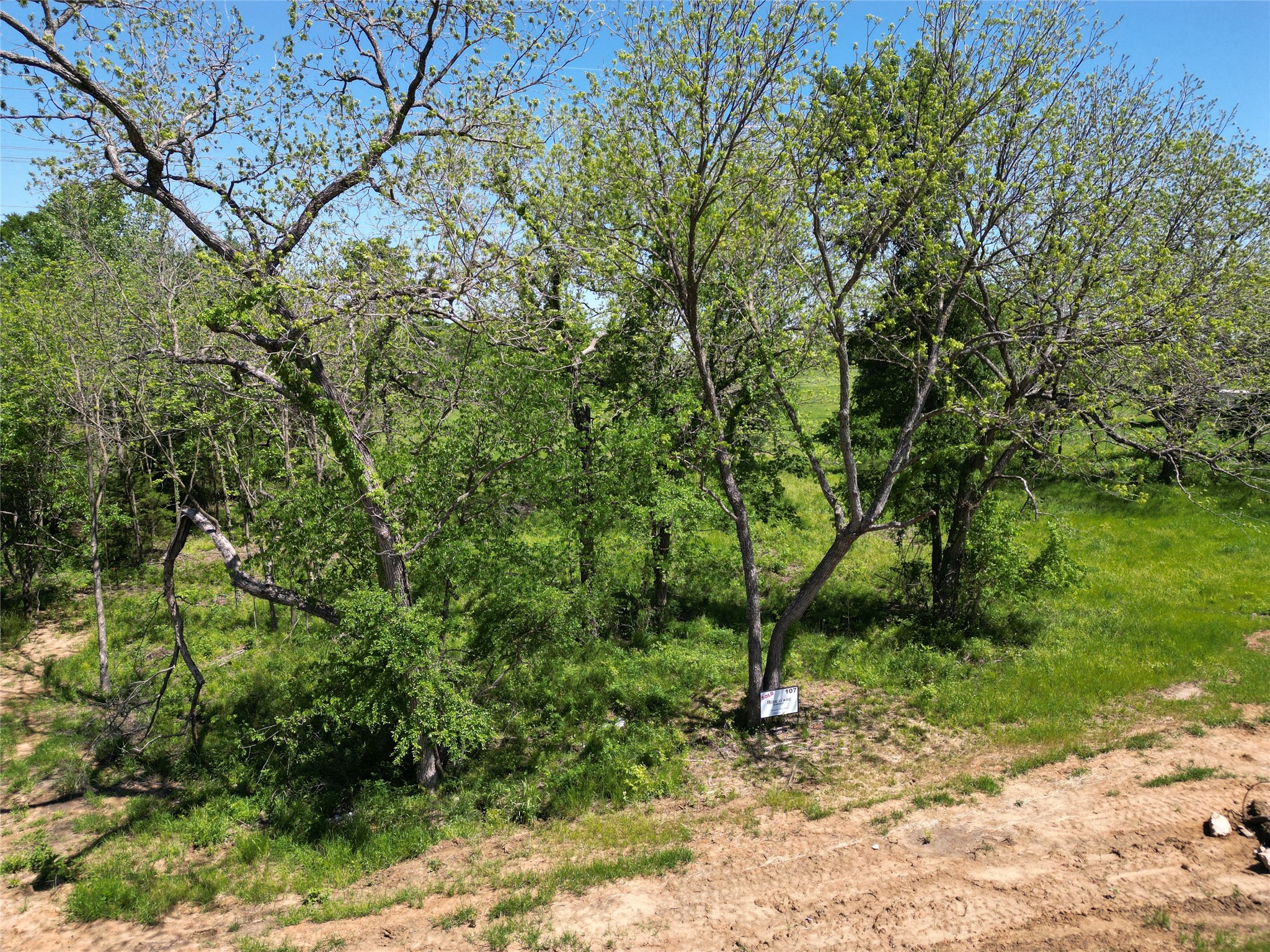 Wooded property lot with mature trees, green undergrowth, and a small real estate sign.