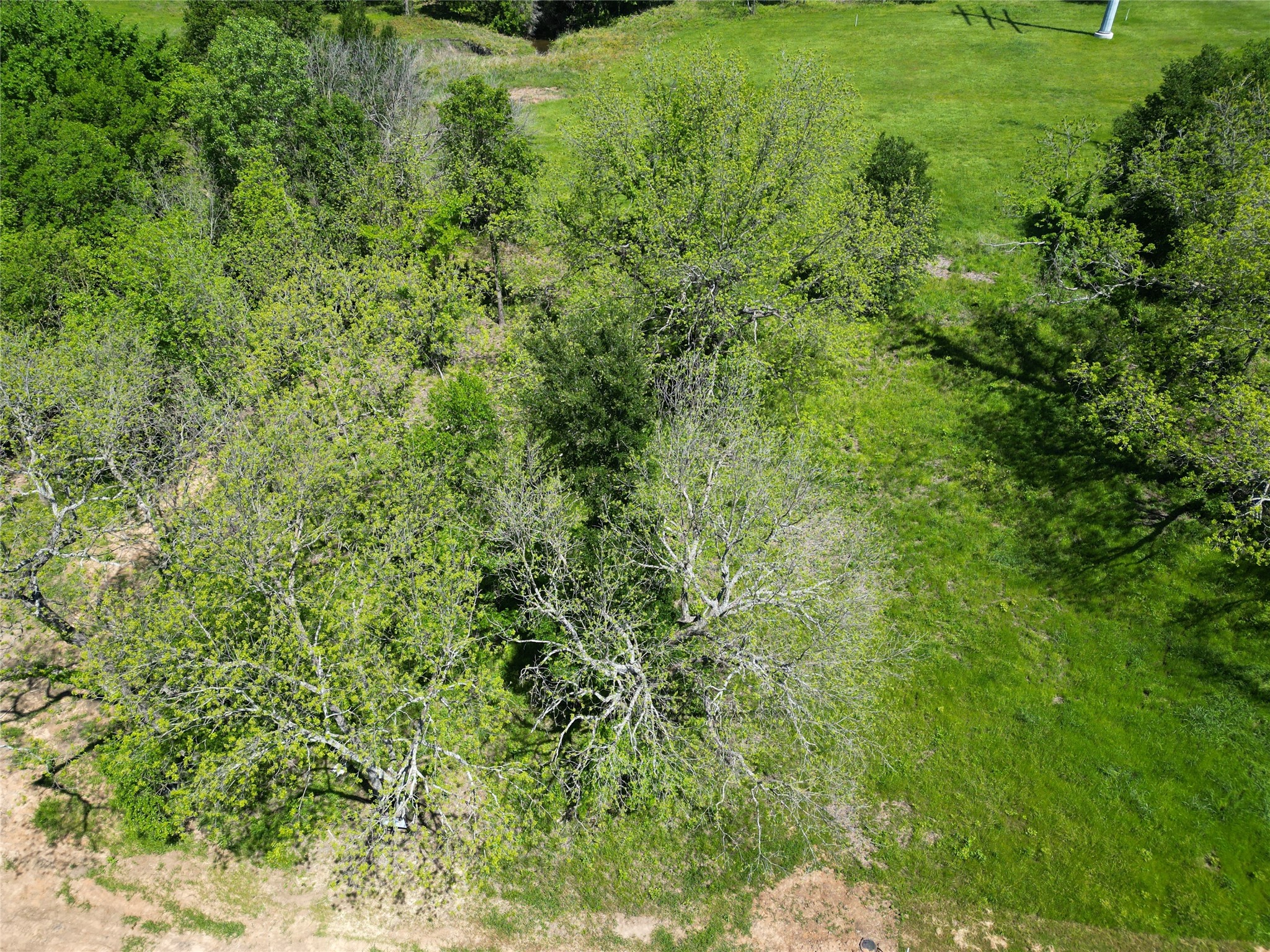 Aerial view of a green lawn bordered by mature trees and dense vegetation.