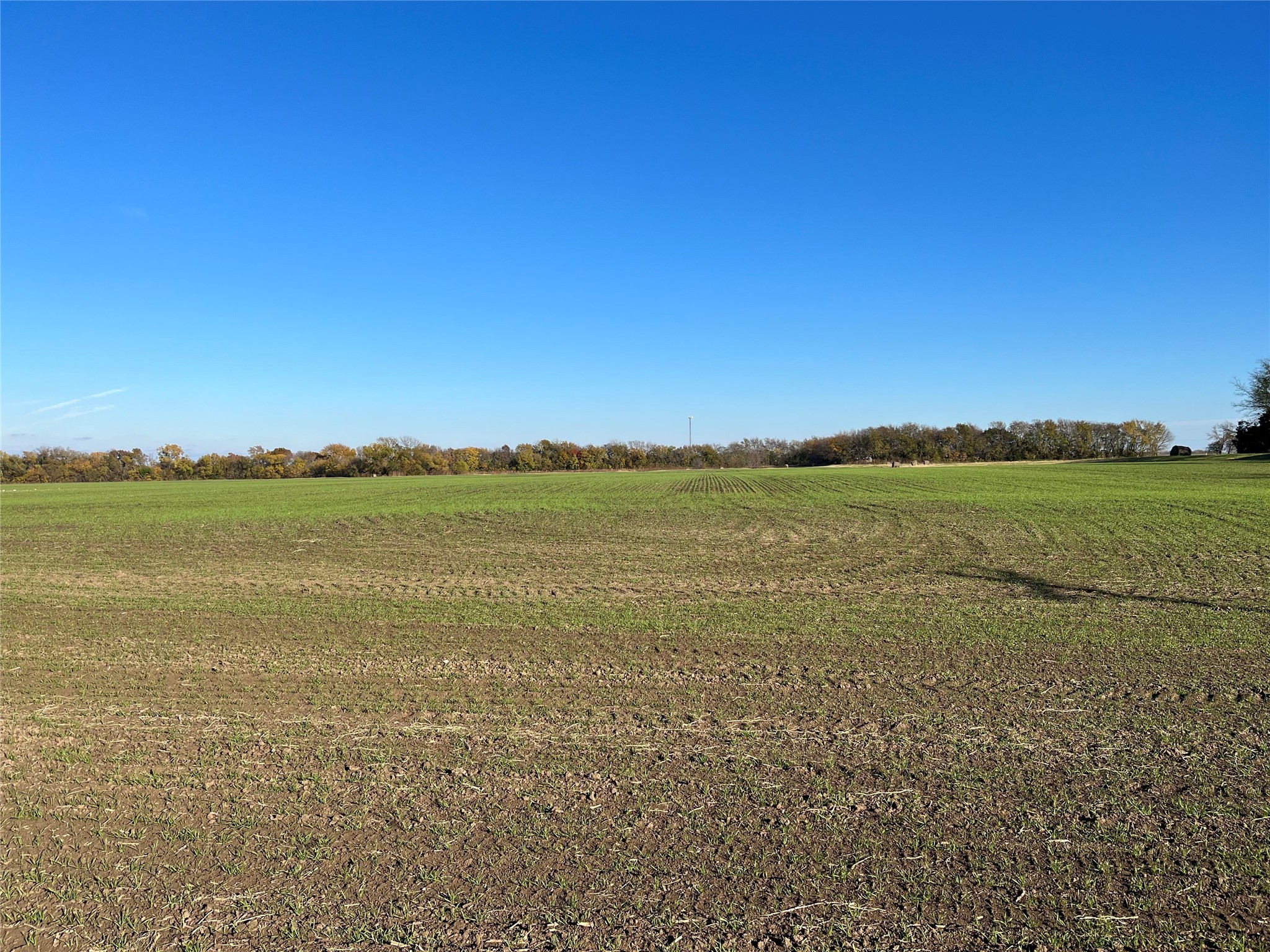 TBD White Mound Road