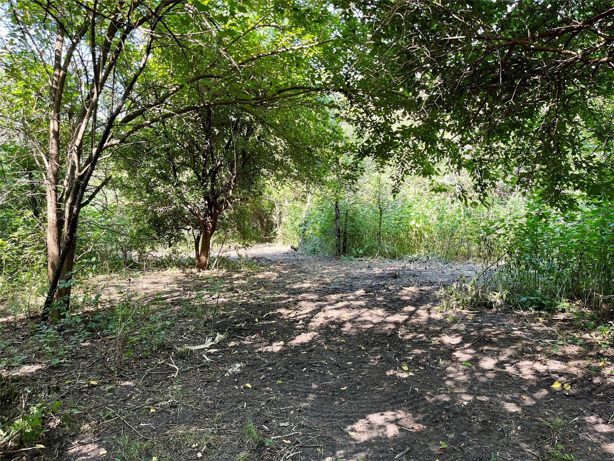 TBD Bethel Cannon Road