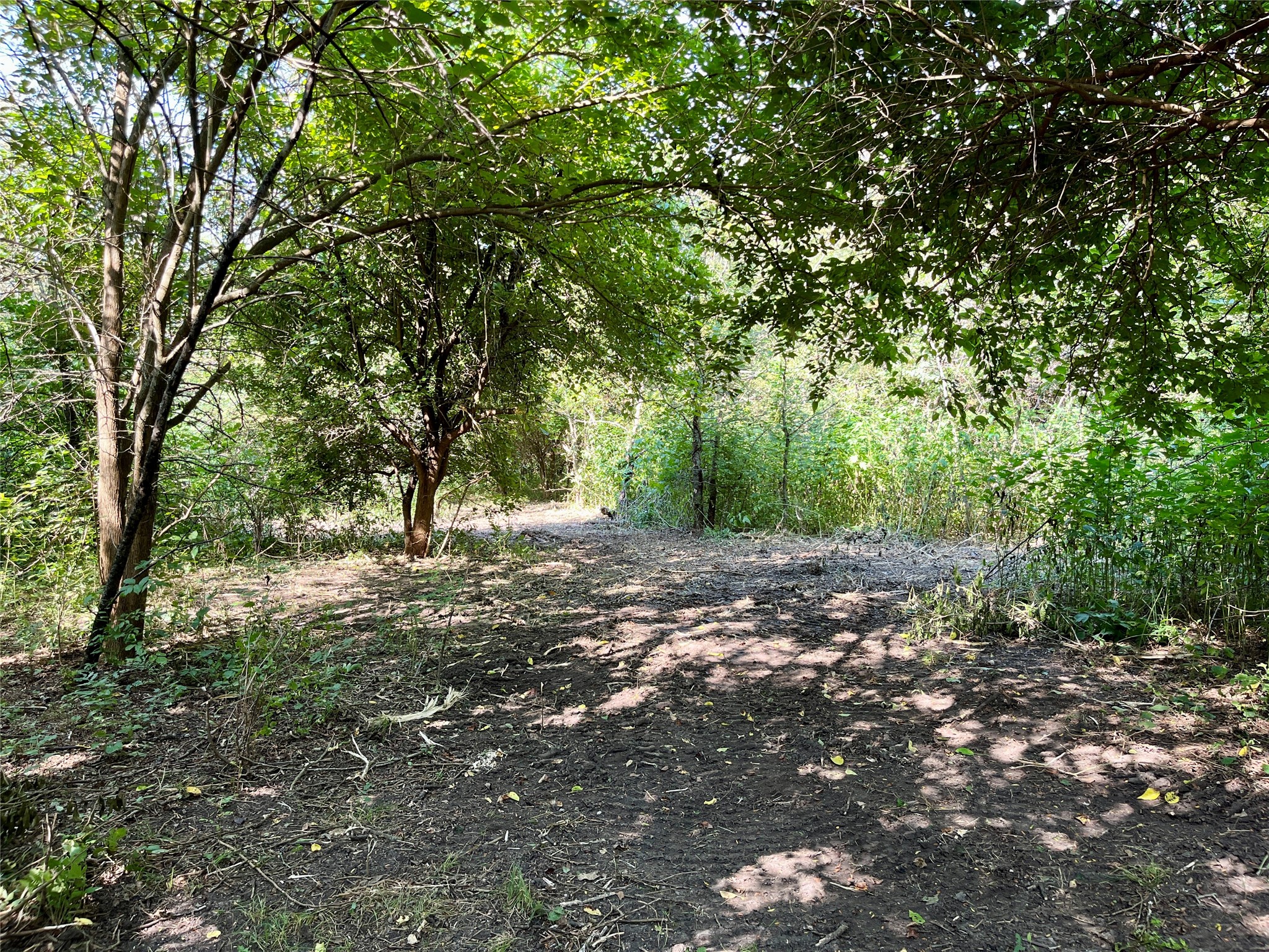 TBD Bethel Cannon Road