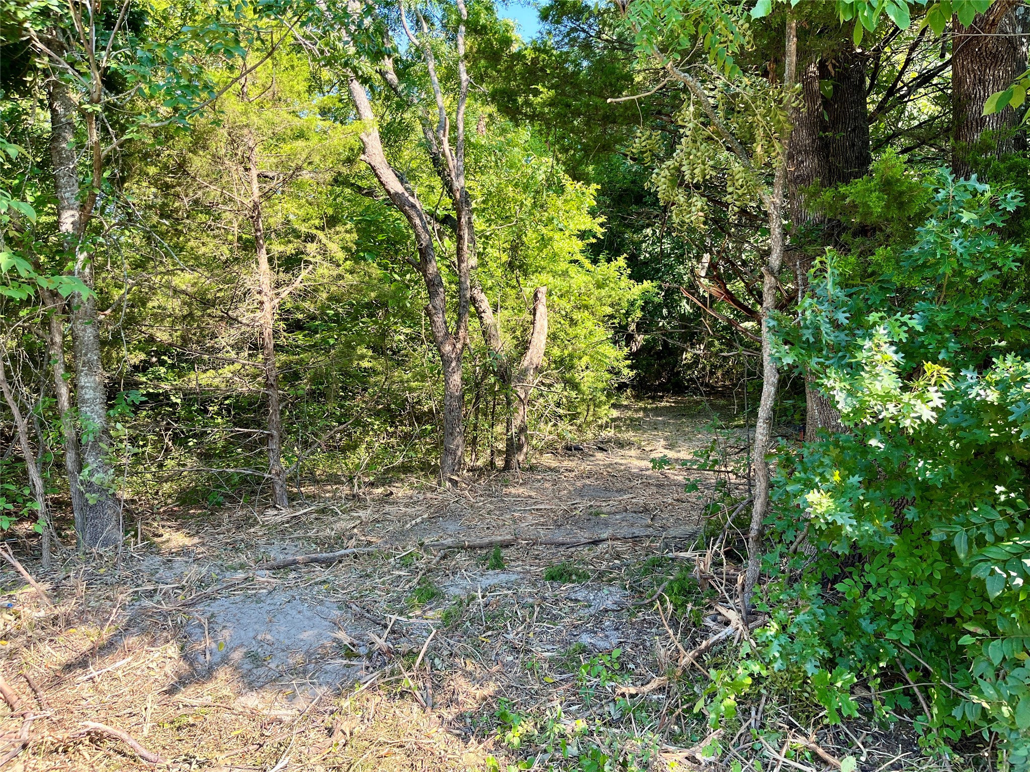 TBD Bethel Cannon Road