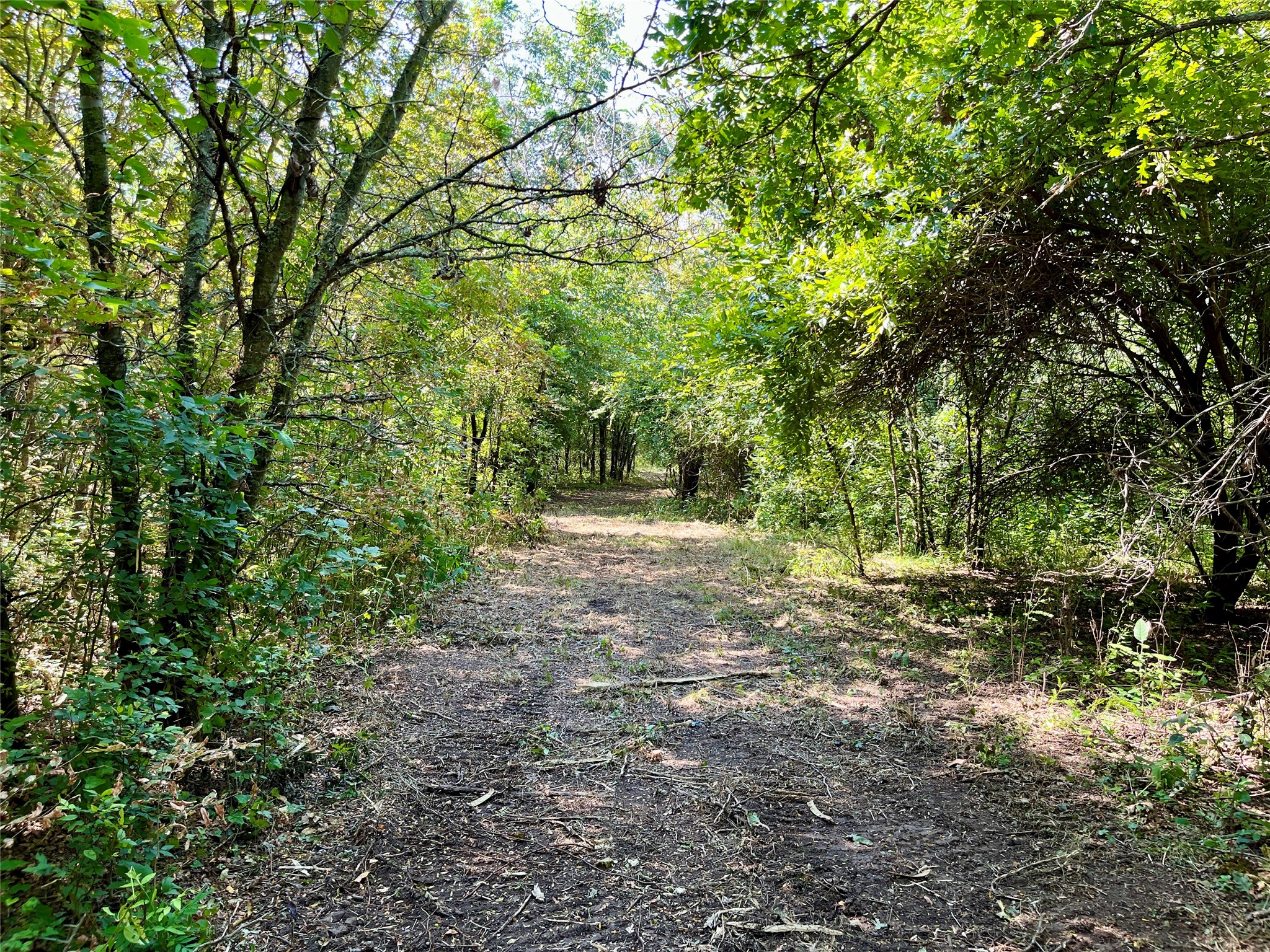 TBD Bethel Cannon Road