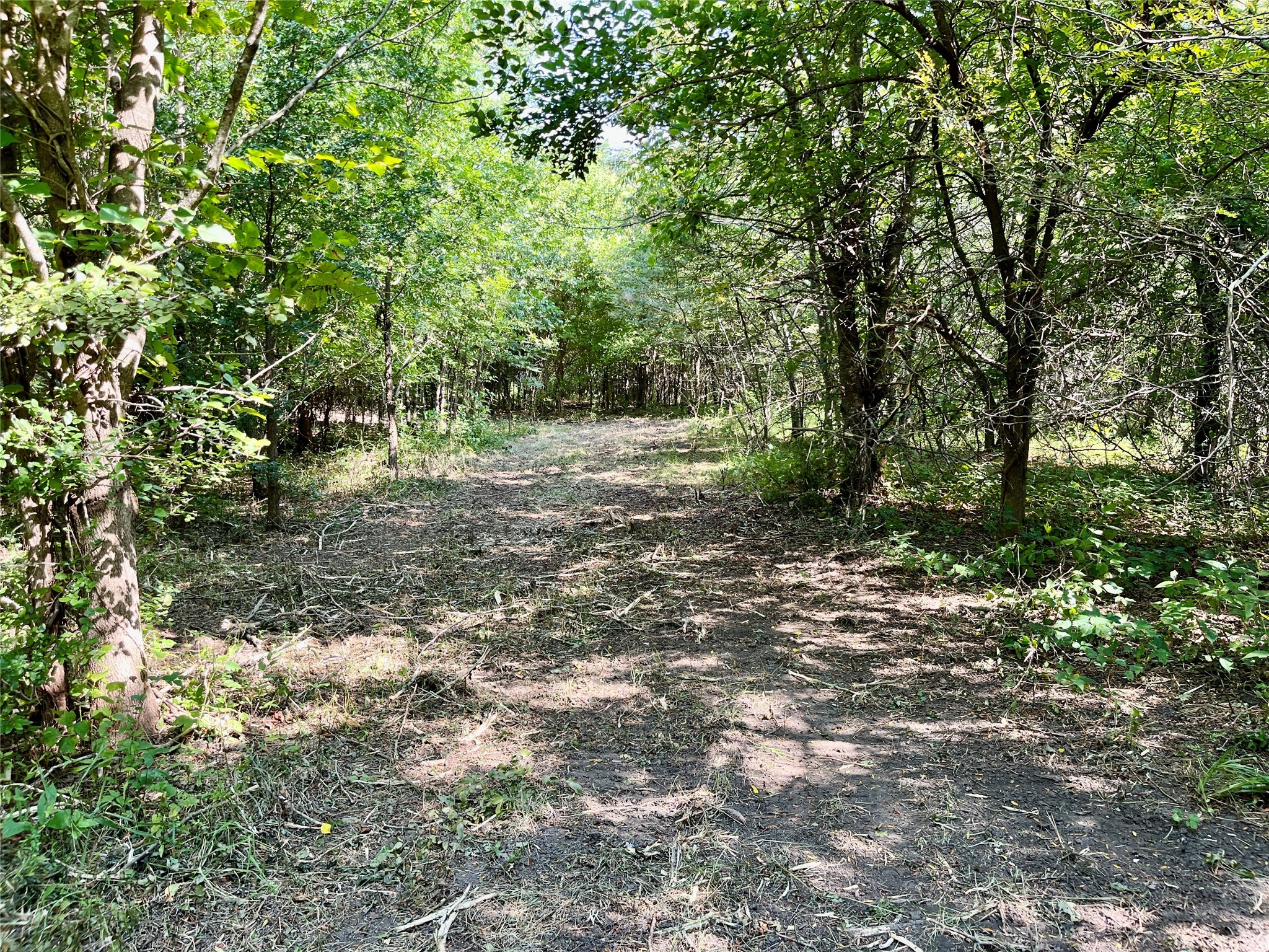 TBD Bethel Cannon Road