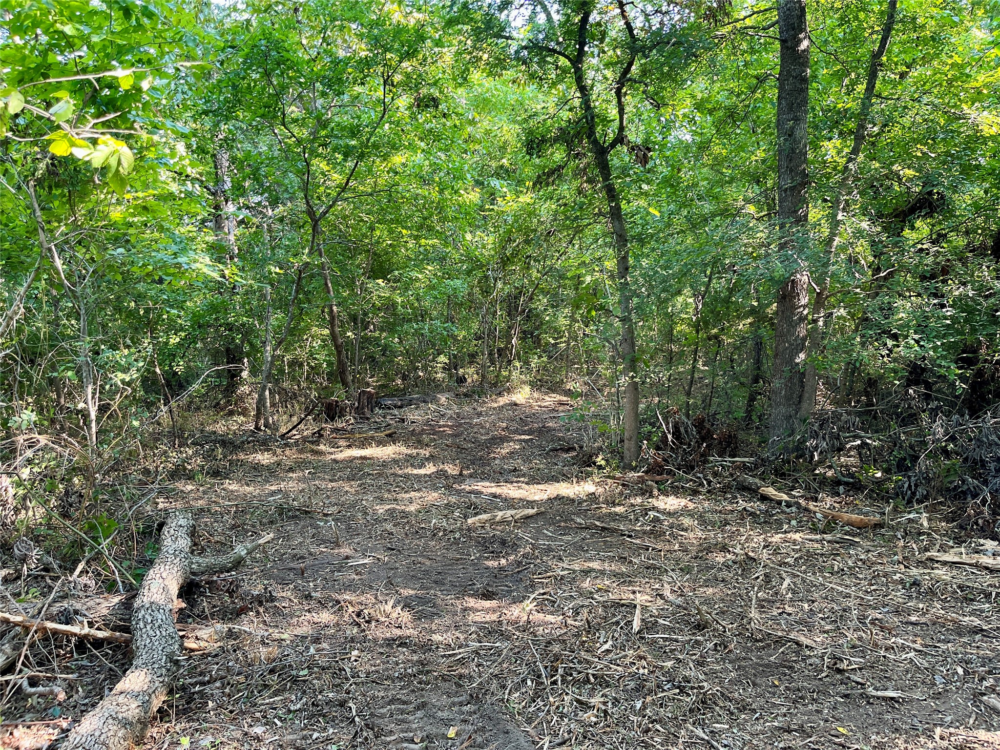 TBD Bethel Cannon Road