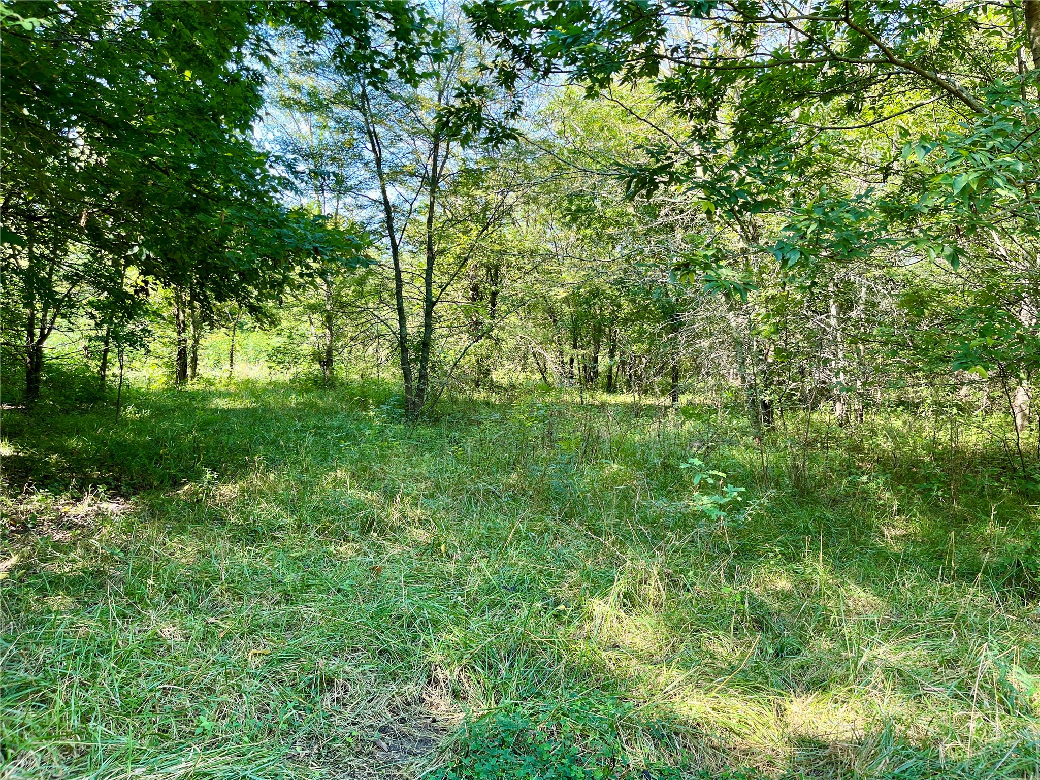 TBD Bethel Cannon Road